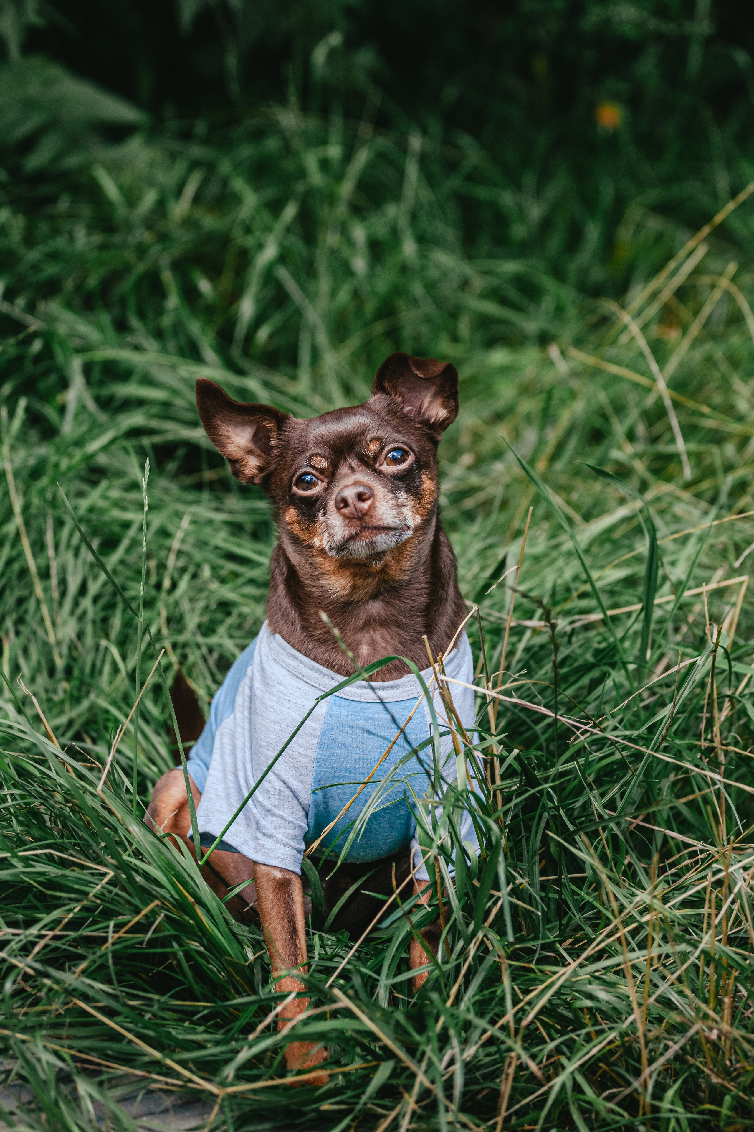 Восточный мост. Фотограф-анималист Татьяна Степанова