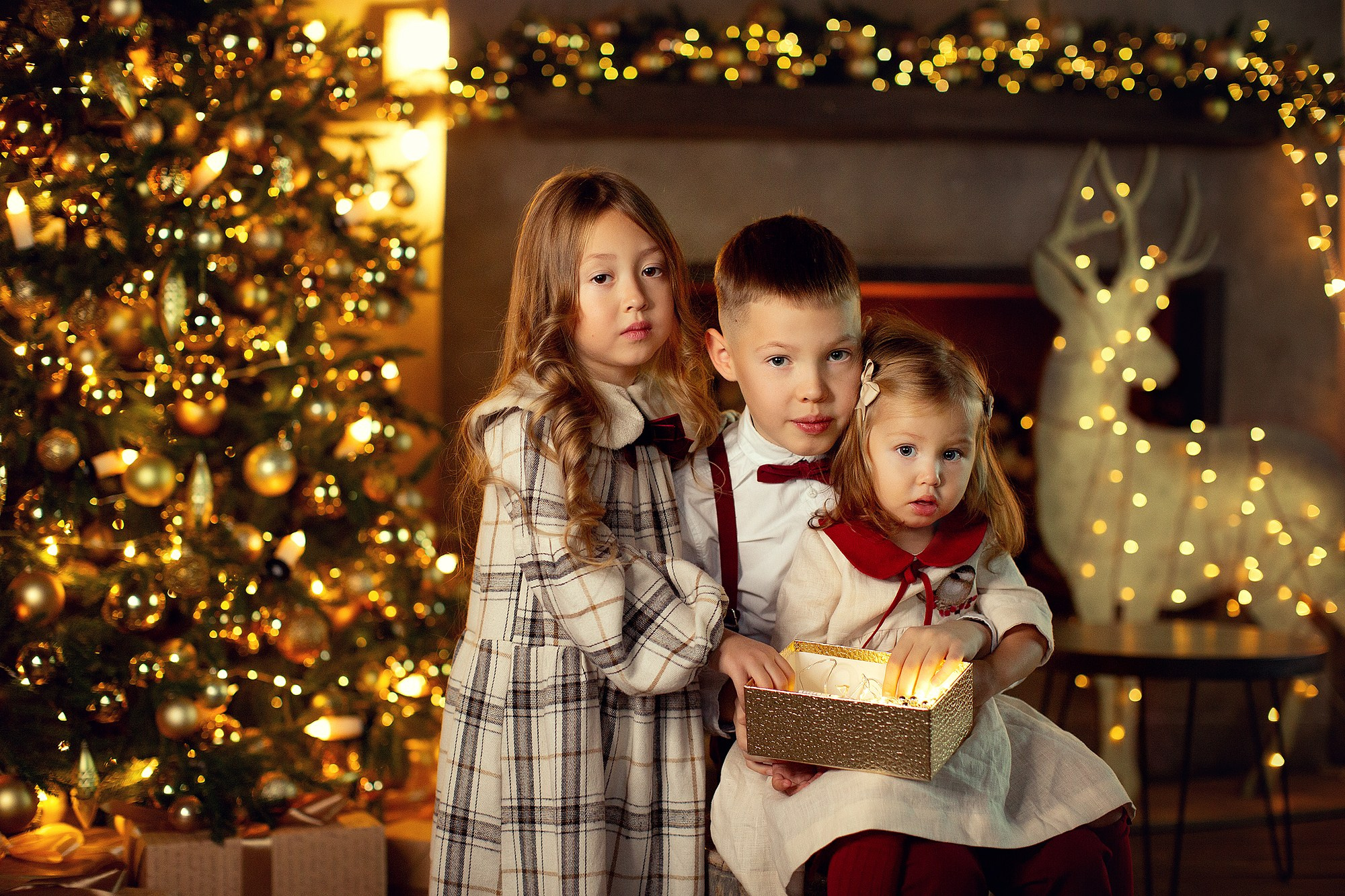 Новогодняя праздничная Фотосессия в студии. Семейный фотограф Татьяна Надеждина | Москва, Московская область, Ярославль