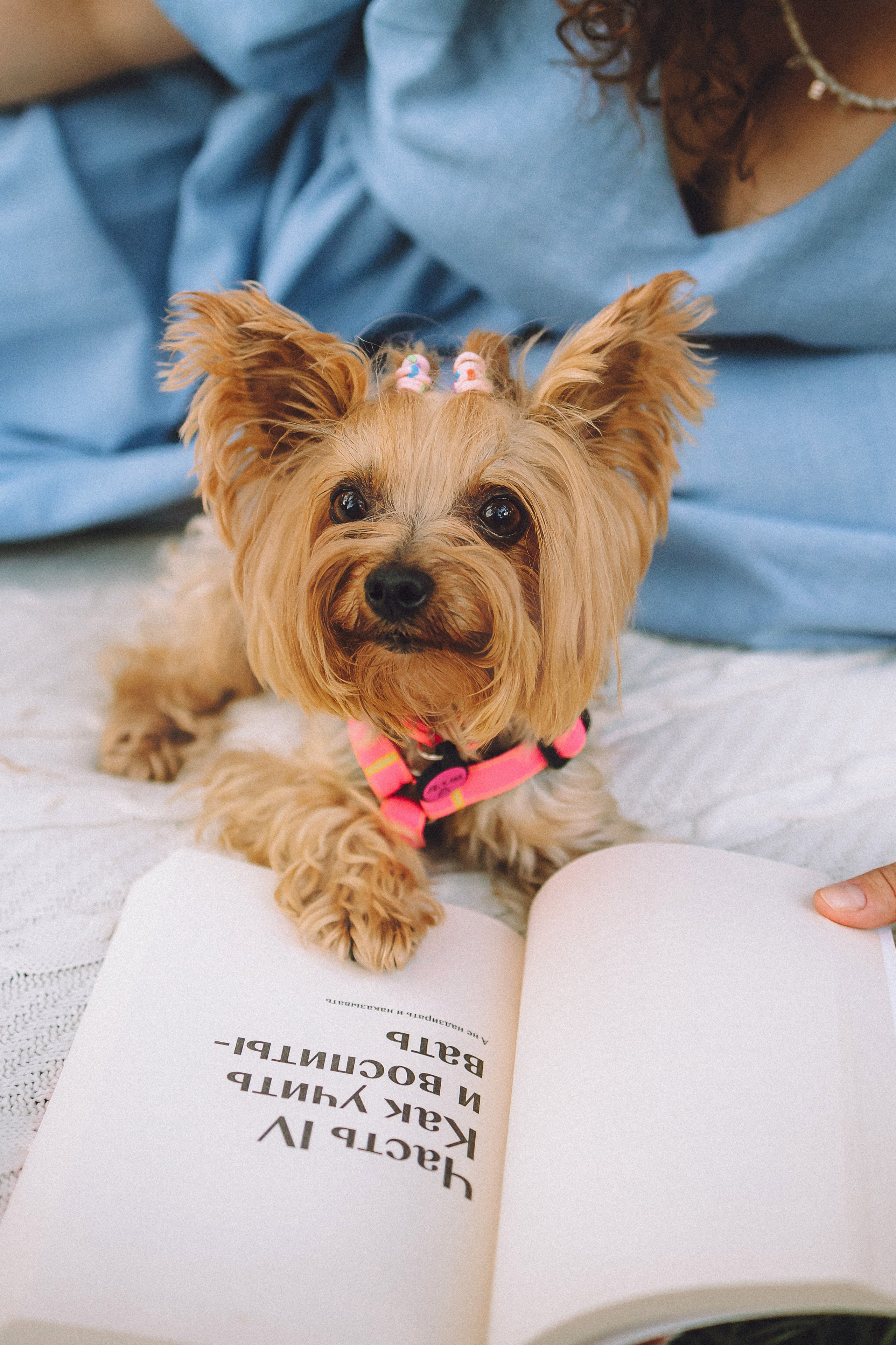 Даша и Дэзи