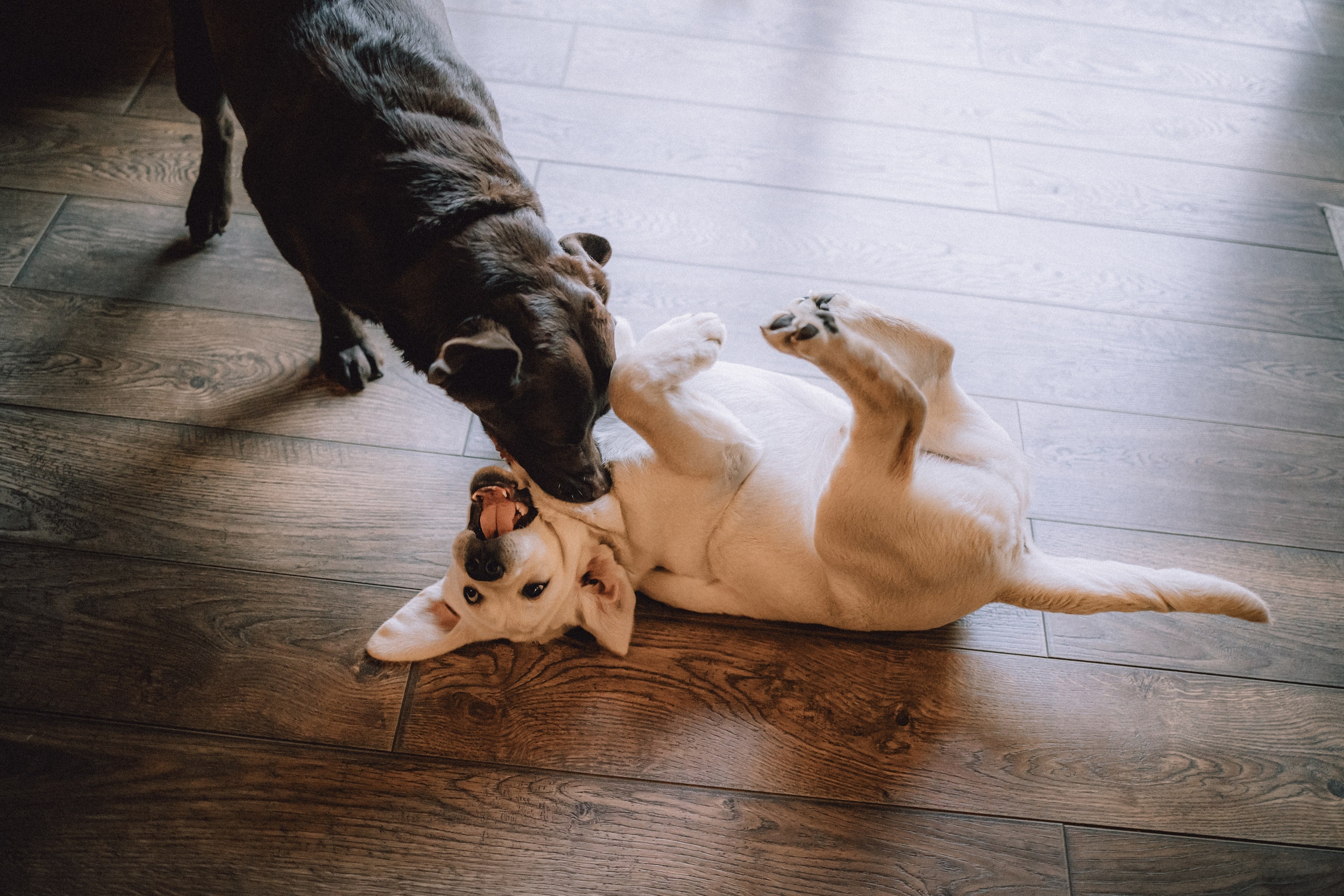 Ума, Берта и их семья