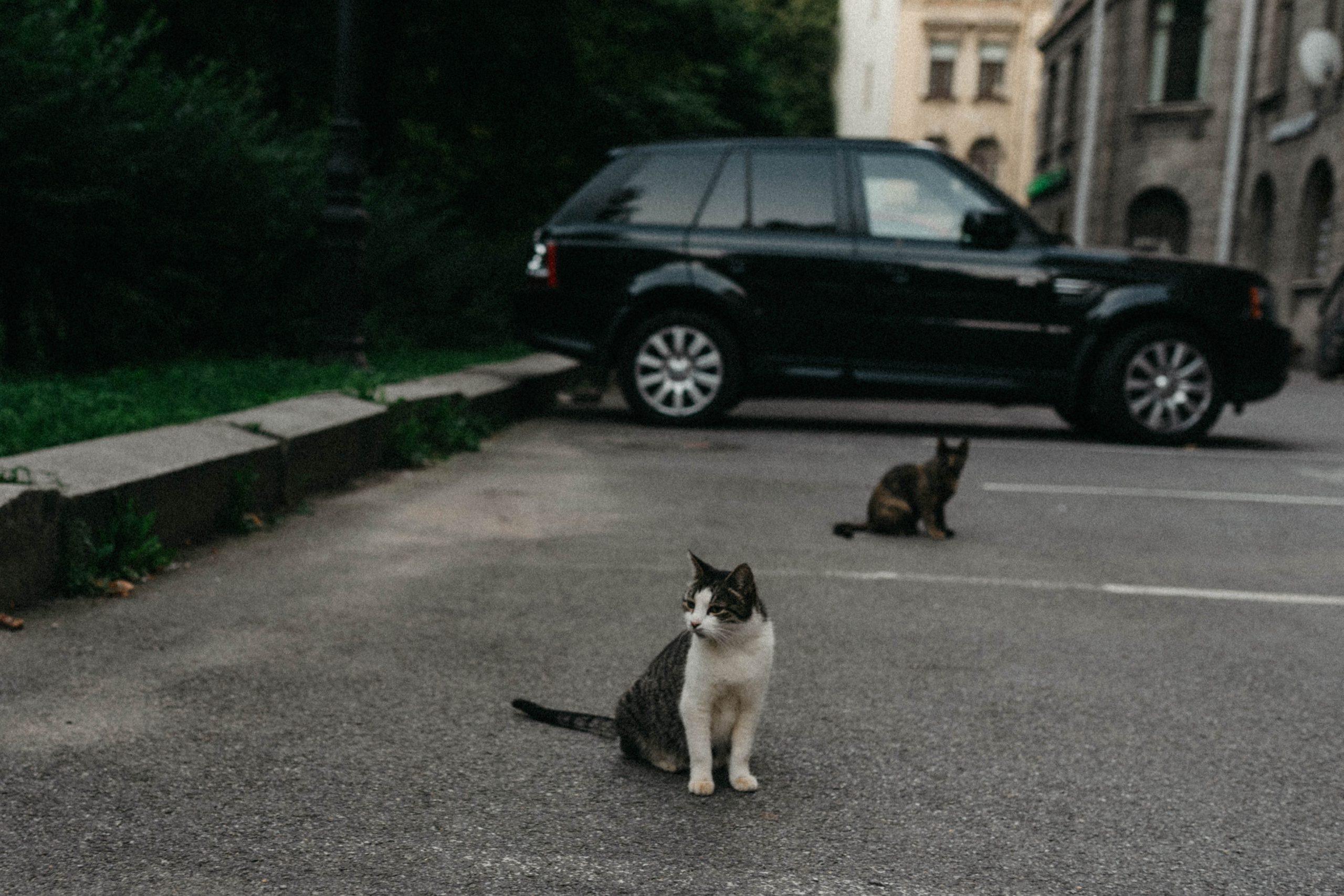 Лёша и Даша. Свадебный и семейный фотограф в Чите Юлия Оранская