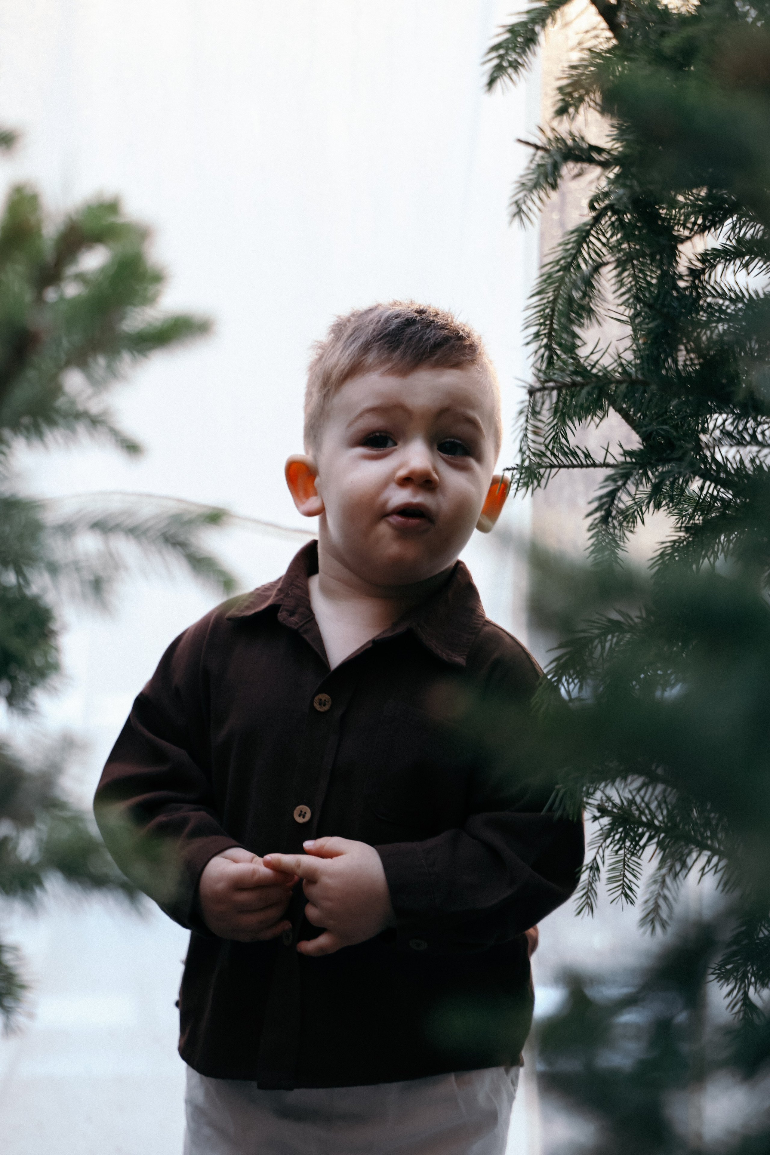 Family New Year. Свадебный и семейный фотограф в Краснодаре Диана Смирнова