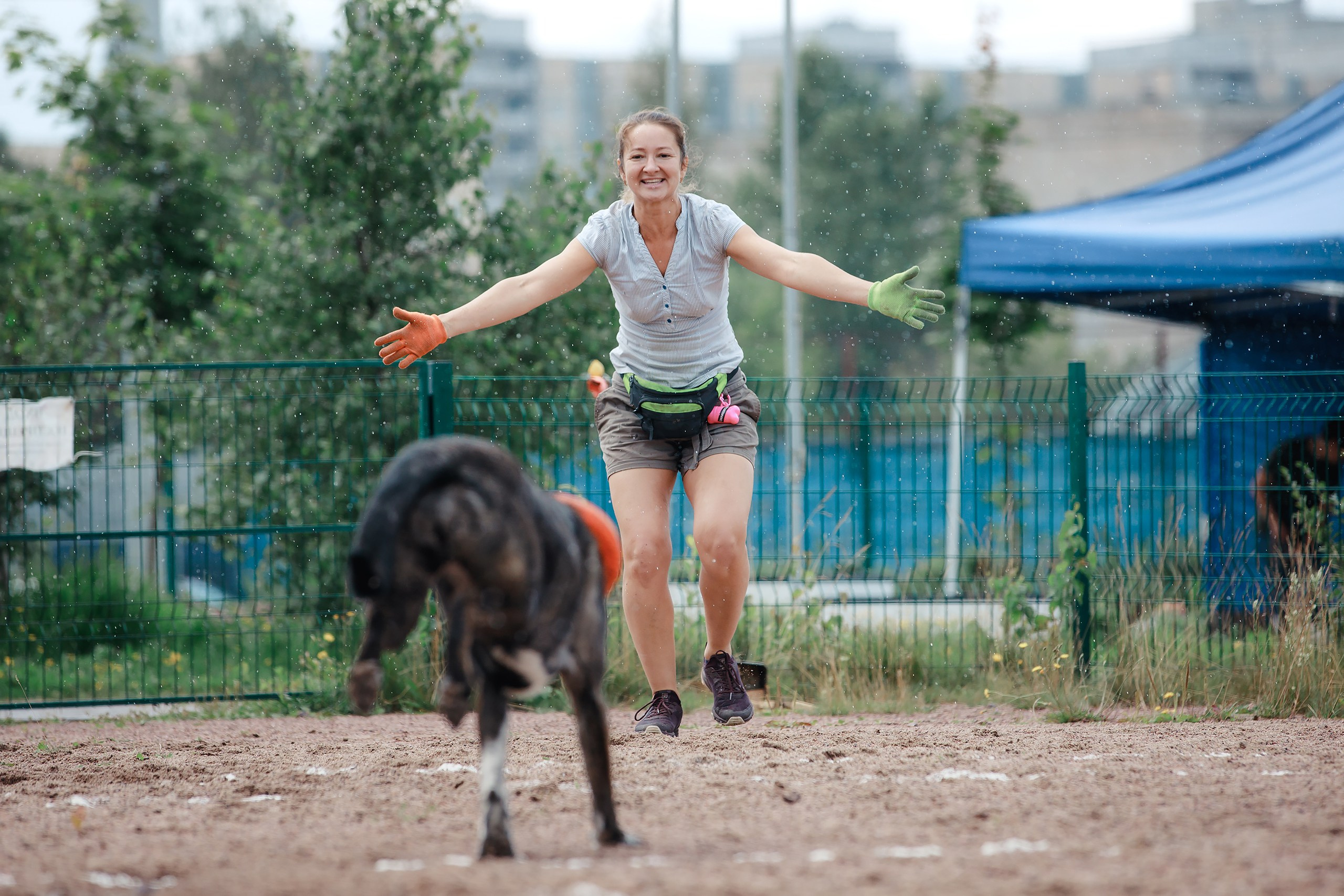 Питч&Гоу + веселые старты. Фотограф-анималист Mary Mart — Москва, Питер