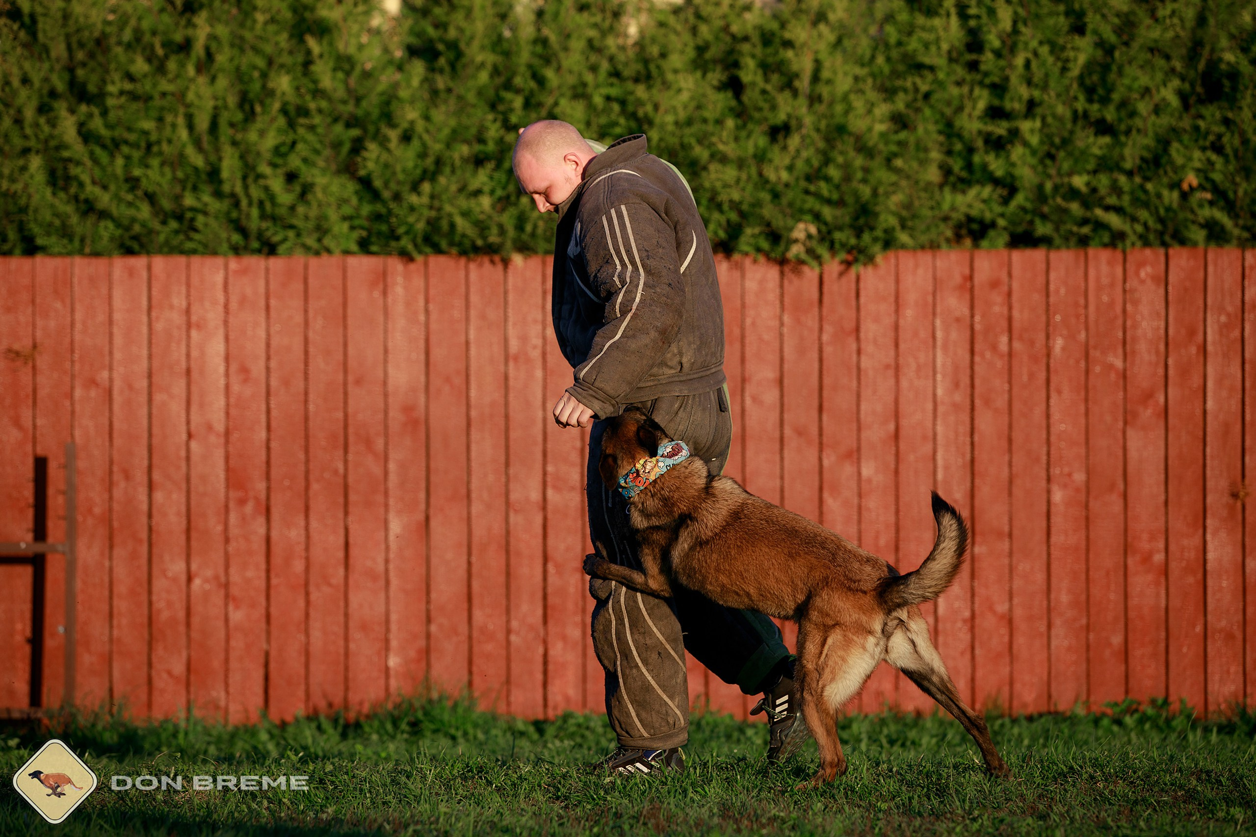 Семинар для фигурантов, день 3. Фотограф-анималист Mary Mart — Москва, Питер