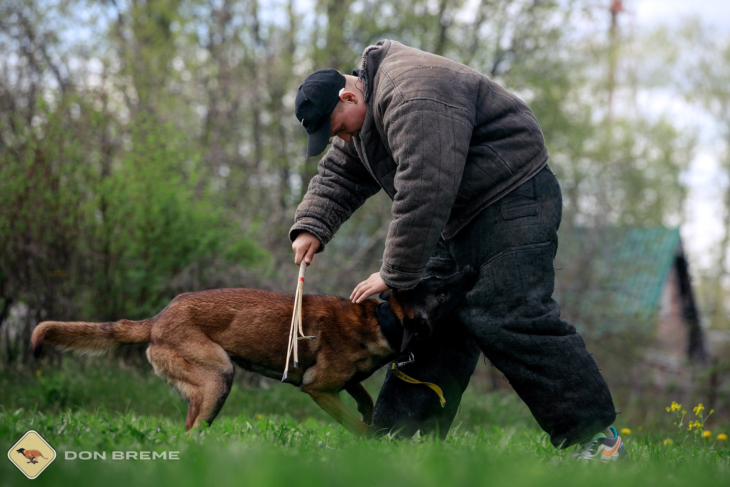 Семинар для фигурантов, день 2. Фотограф-анималист Mary Mart — Москва, Питер