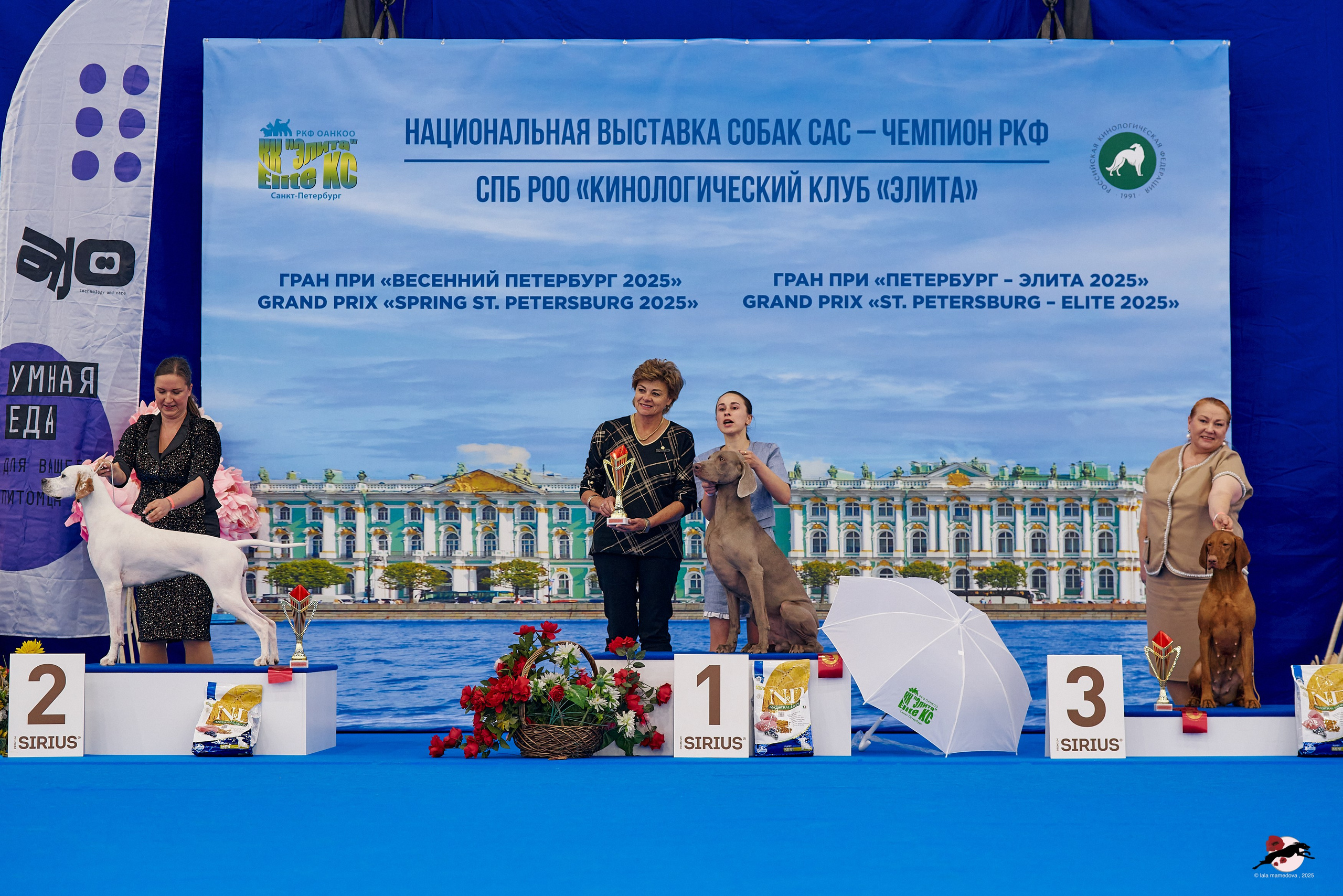 27.04.2025 | "Петербург-Элита 2025" & «КУБОК «ЭЛИТЫ»-2025»