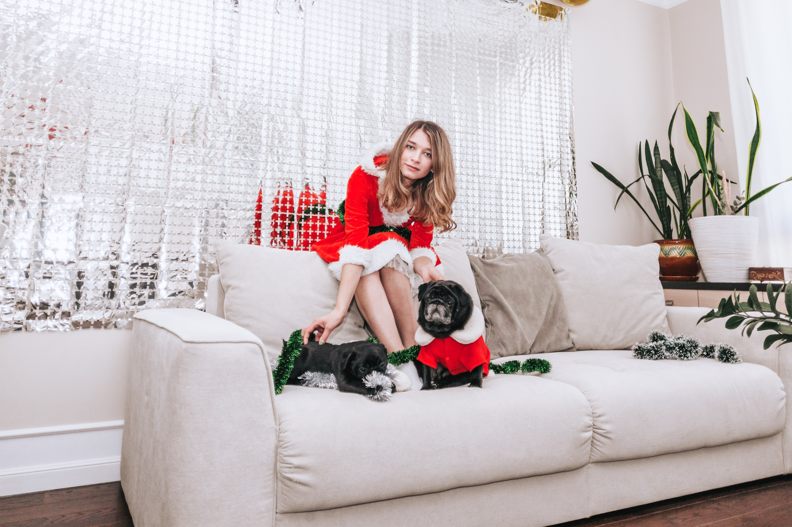 Домашняя фотосессия Оли и двух ее мопсов. Фотограф-анималист Татьяна Степанова