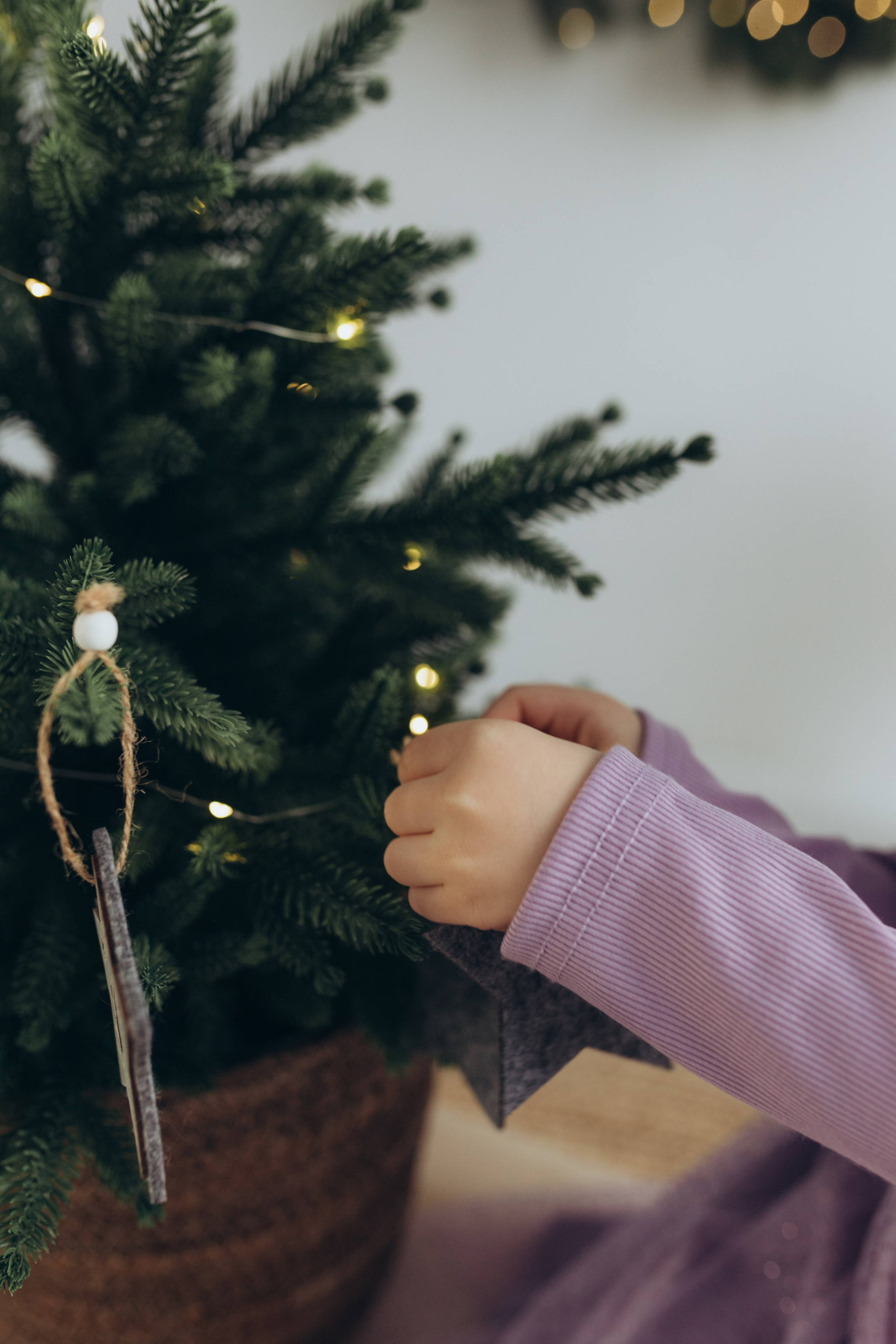 Поля. Фотограф Кемерово Анастасия Ларионова