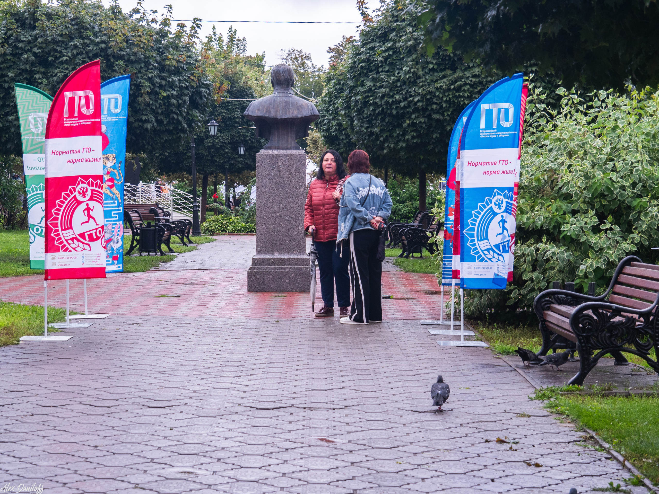 День города Муром 2025. Муром-Инфо. Новости культуры, образования, спорта в городе Муром