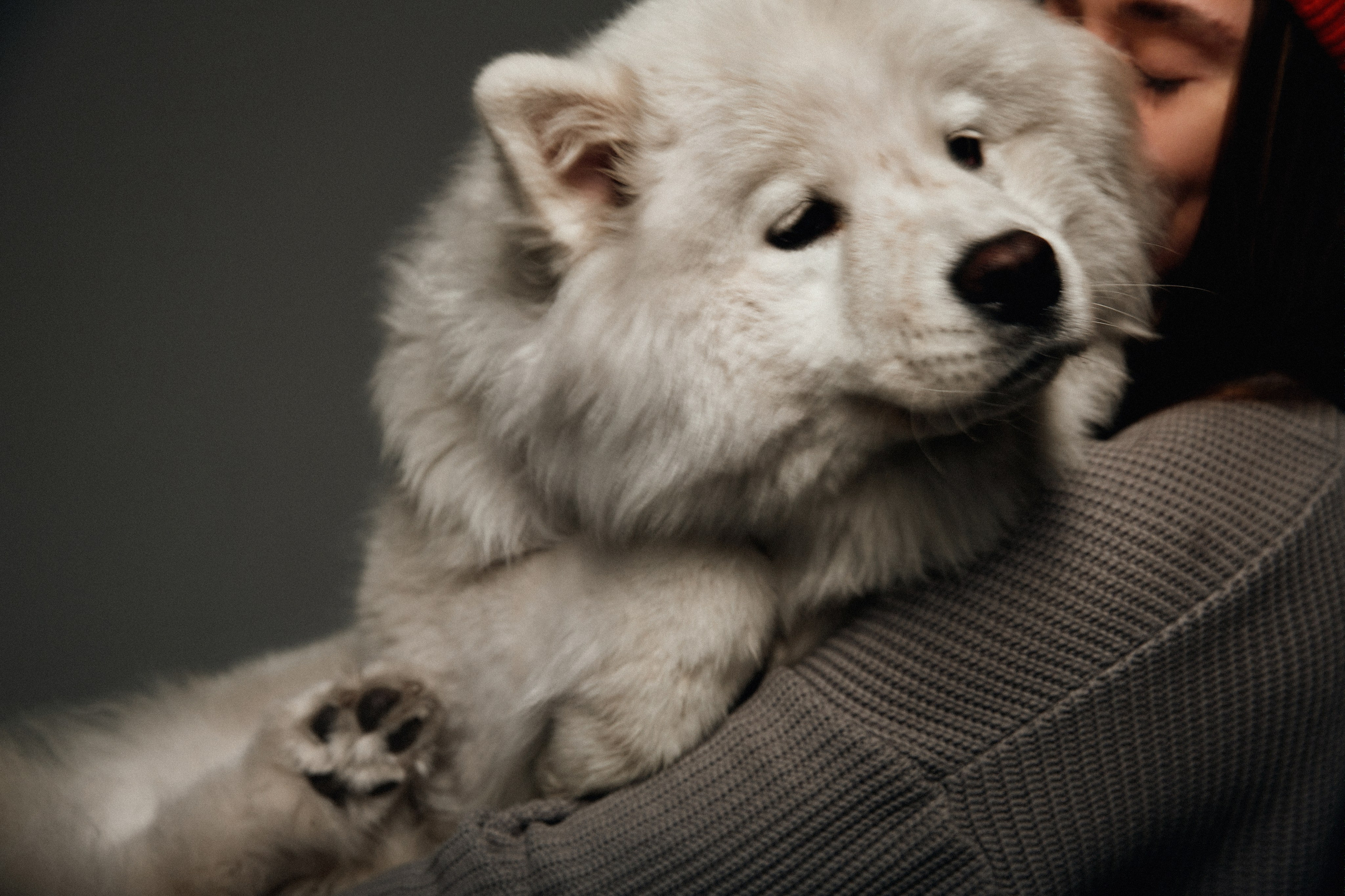 ЕЛЕНА И ГАБИ. Фотограф Благовещенск — Владивосток Макс Маковкин
