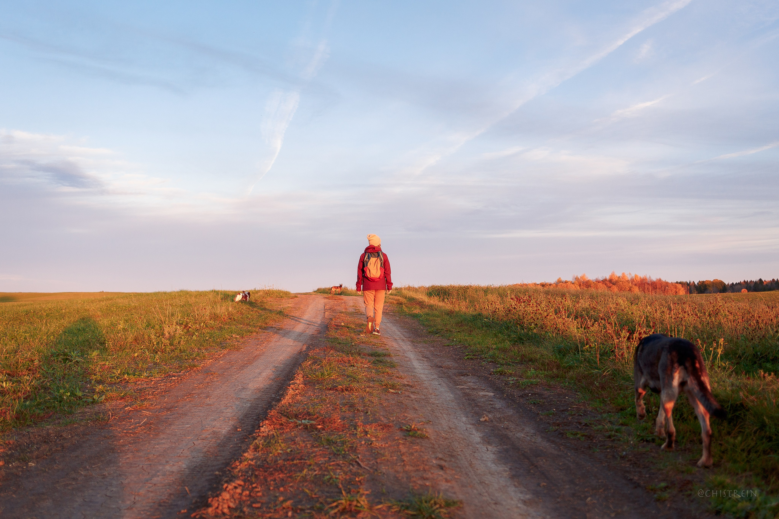 Октябрьский закат в полях. Алина и Лео. Фотограф-анималист Наталия Чистюхина в г. Сосновый Бор и ЛО