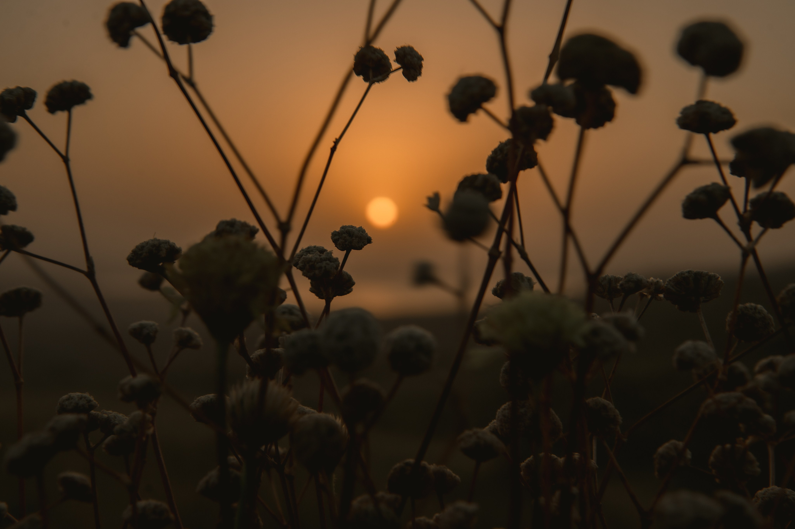 Волшебство всегда происходит, когда сменяются день и ночь. Свадебный фотограф в Ставрополе Ксения Ковальчук