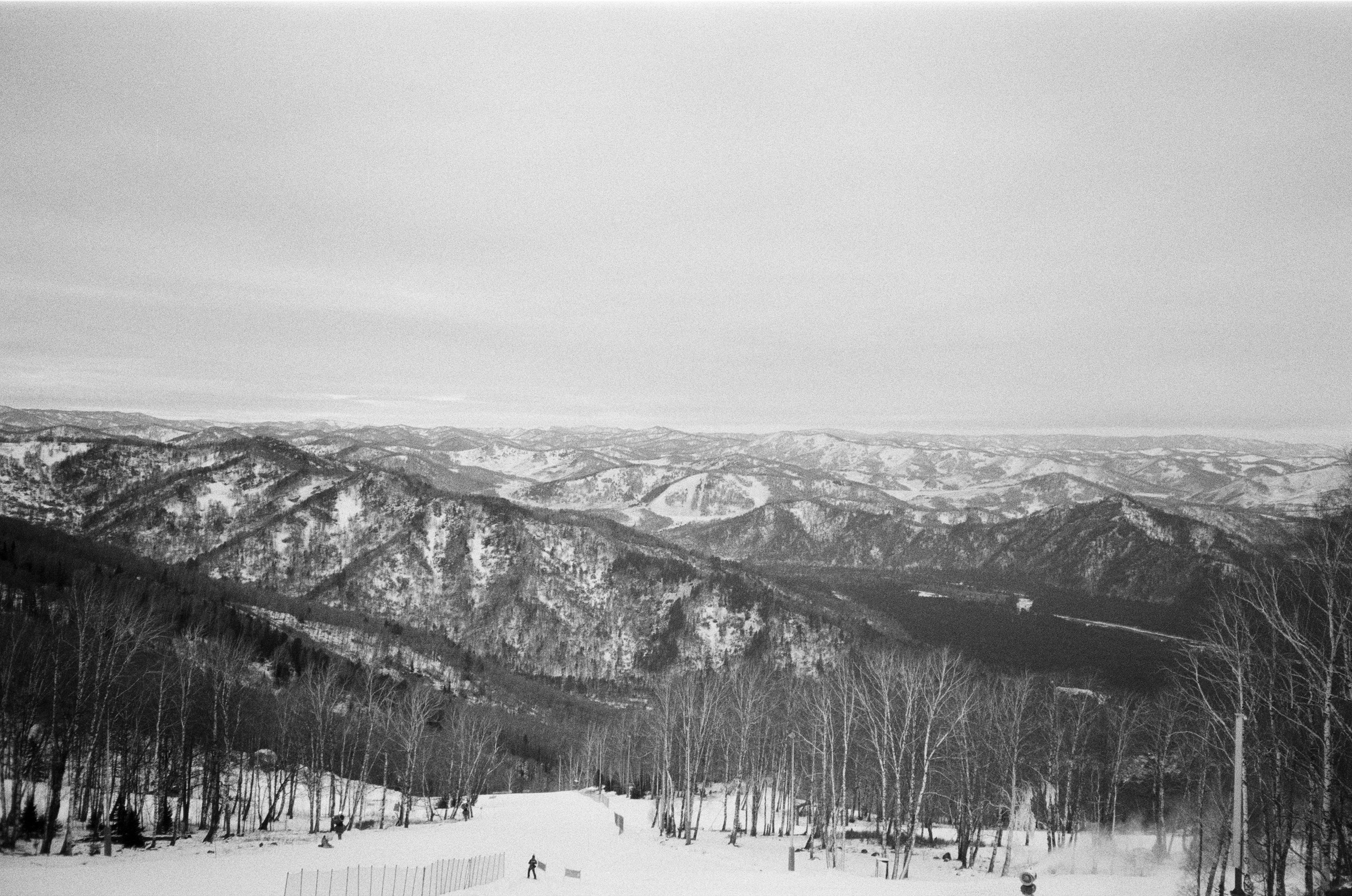 Olympus AF-10 SUPER / Ilford PAN 400 / Алтай, зима 2023 год