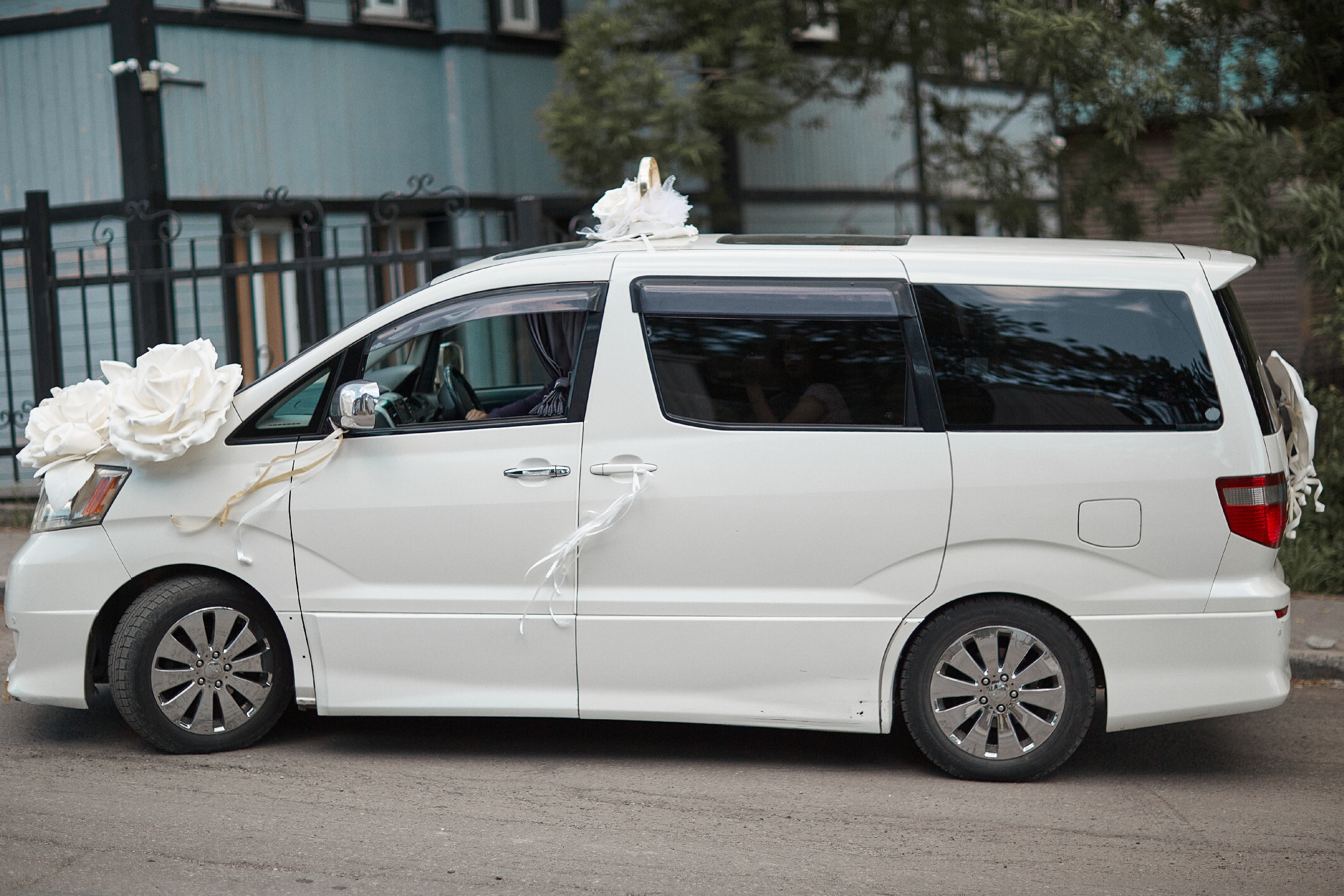 Максим и Анастасия  Свадебный фотограф Камчатка Панов Ян. Свадебный фотограф на Камчатке Ян Панов