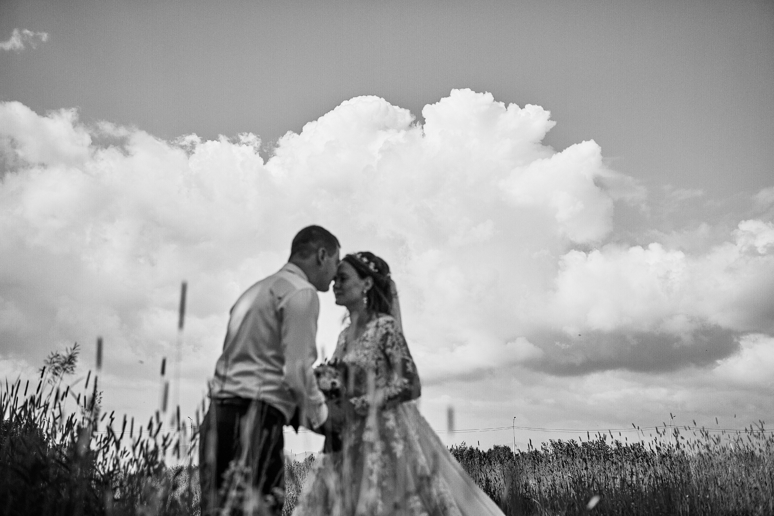 Максим и Анастасия  Свадебный фотограф Камчатка Панов Ян. Свадебный фотограф на Камчатке Ян Панов