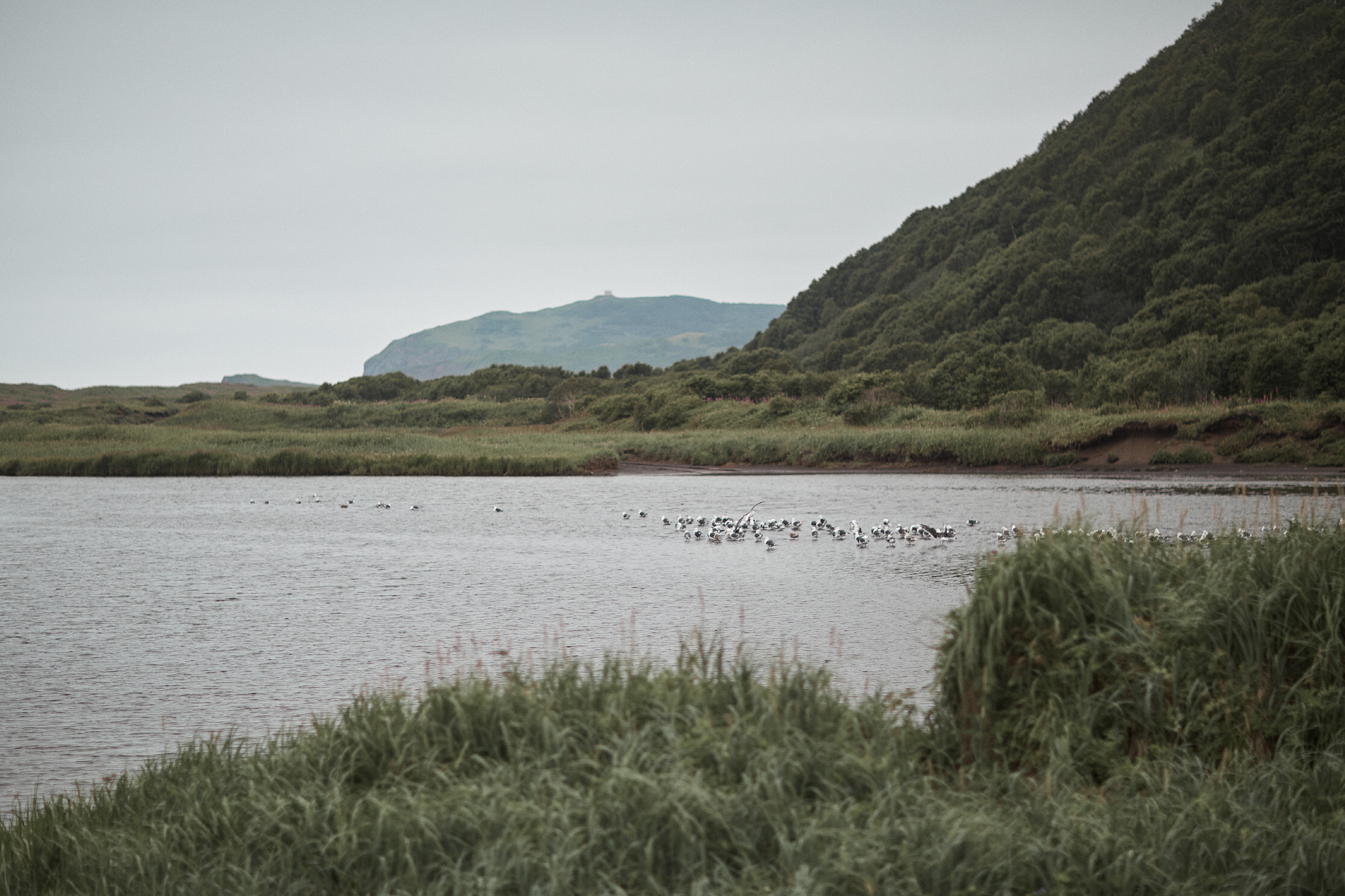 Валера и Наталья  Свадебный фотограф Камчатка Панов Ян. Свадебный фотограф на Камчатке Ян Панов