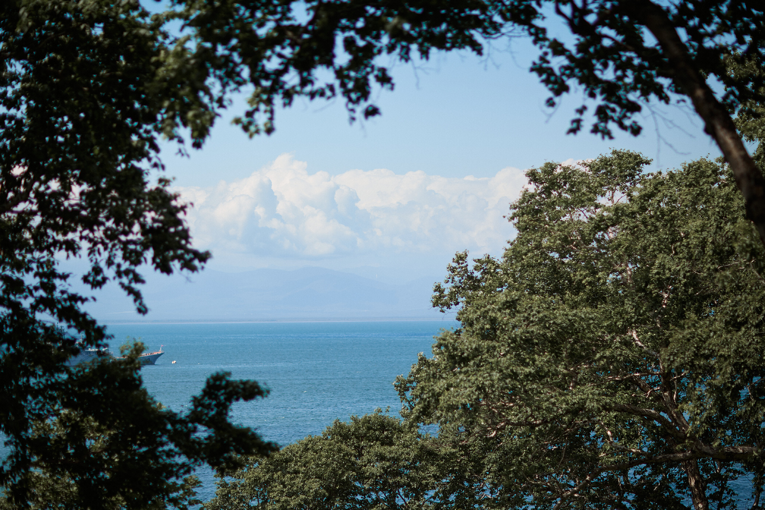 Максим и Анастасия  Свадебный фотограф Камчатка Панов Ян. Свадебный фотограф на Камчатке Ян Панов