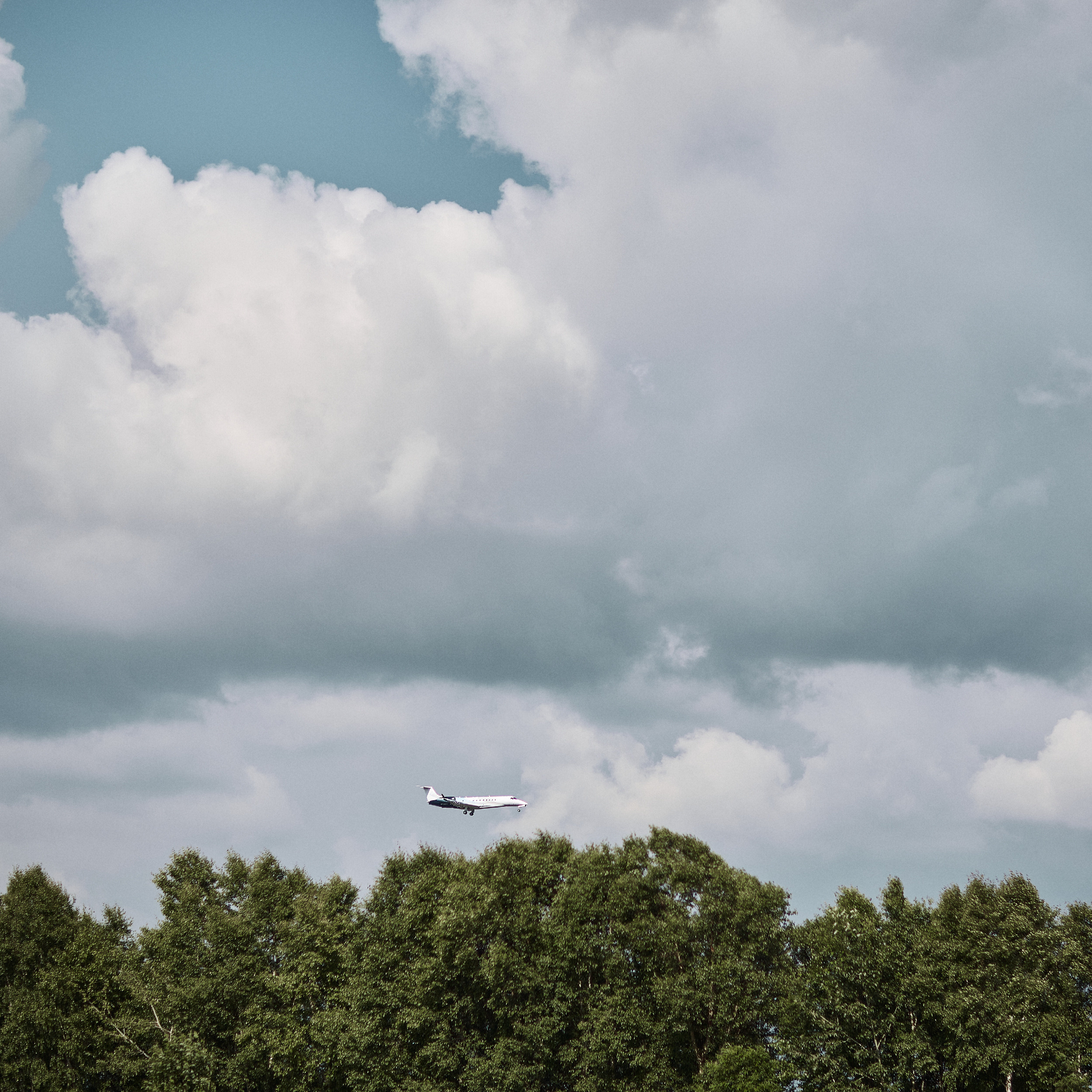 Максим и Анастасия  Свадебный фотограф Камчатка Панов Ян. Свадебный фотограф на Камчатке Ян Панов
