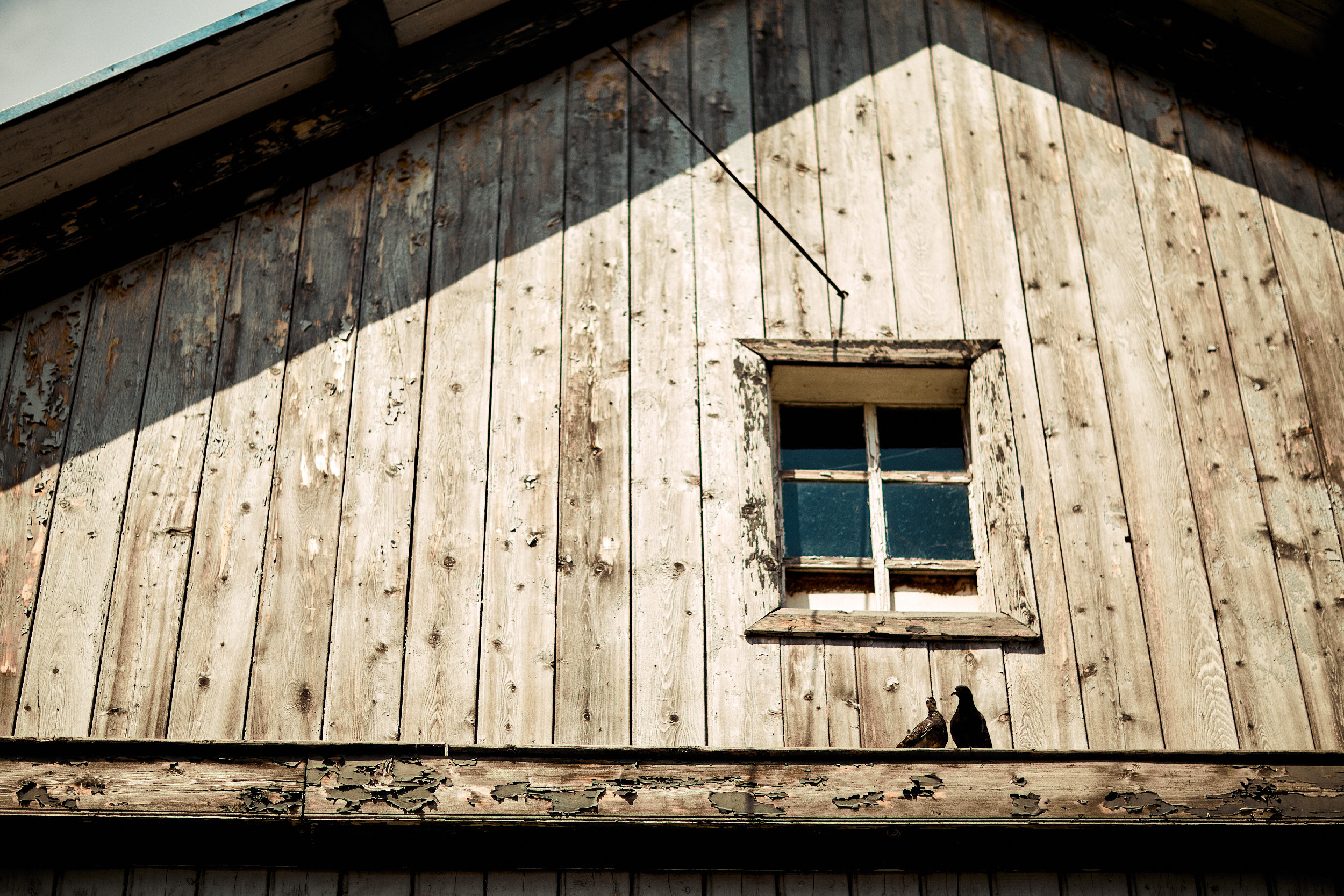 Максим и Анастасия  Свадебный фотограф Камчатка Панов Ян. Свадебный фотограф на Камчатке Ян Панов