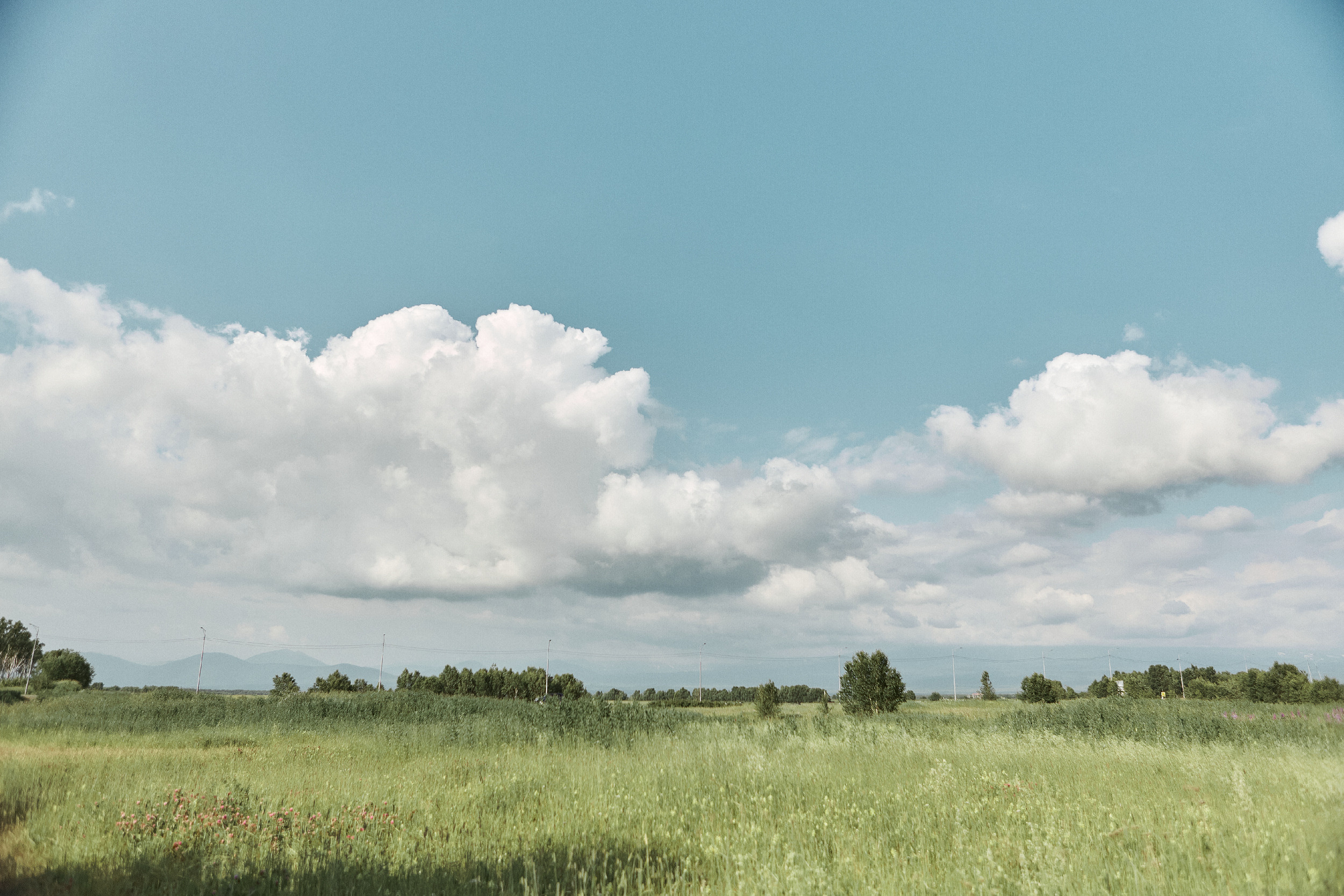 Максим и Анастасия  Свадебный фотограф Камчатка Панов Ян. Свадебный фотограф на Камчатке Ян Панов