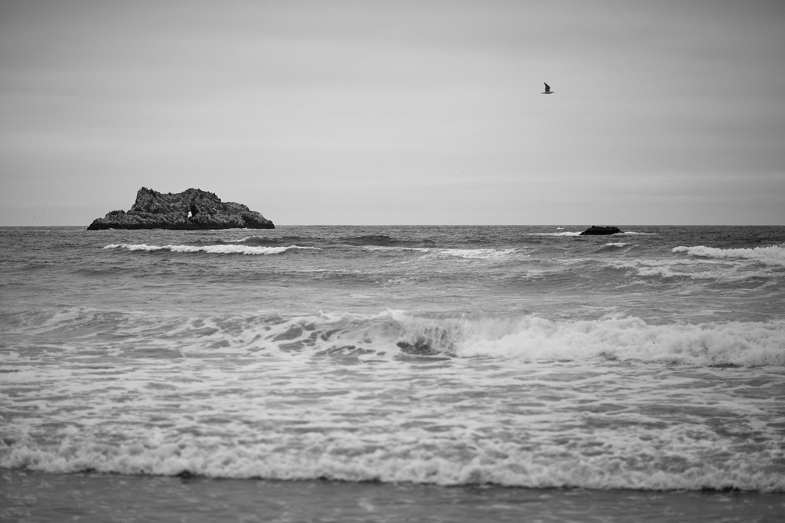 Валера и Наталья  Свадебный фотограф Камчатка Панов Ян. Свадебный фотограф на Камчатке Ян Панов