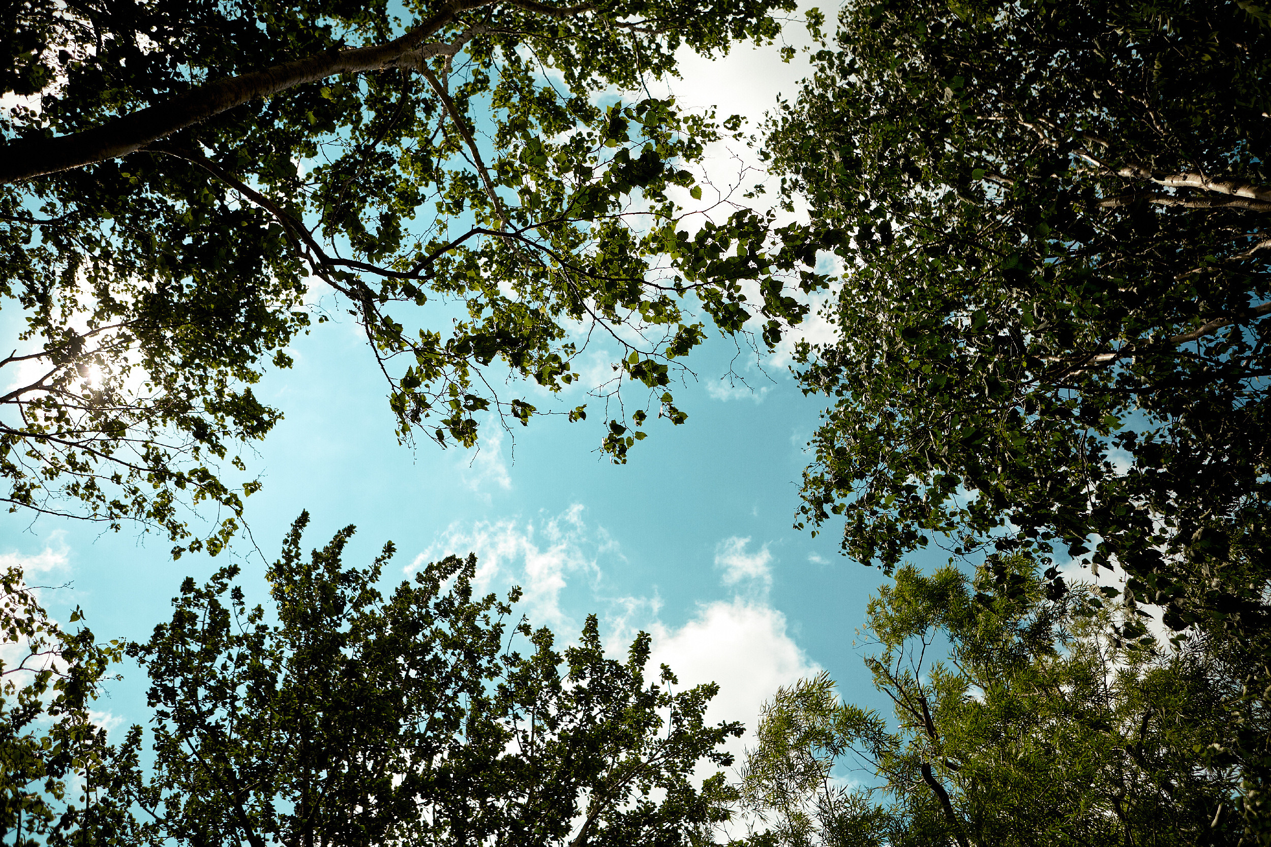 Максим и Анастасия  Свадебный фотограф Камчатка Панов Ян. Свадебный фотограф на Камчатке Ян Панов