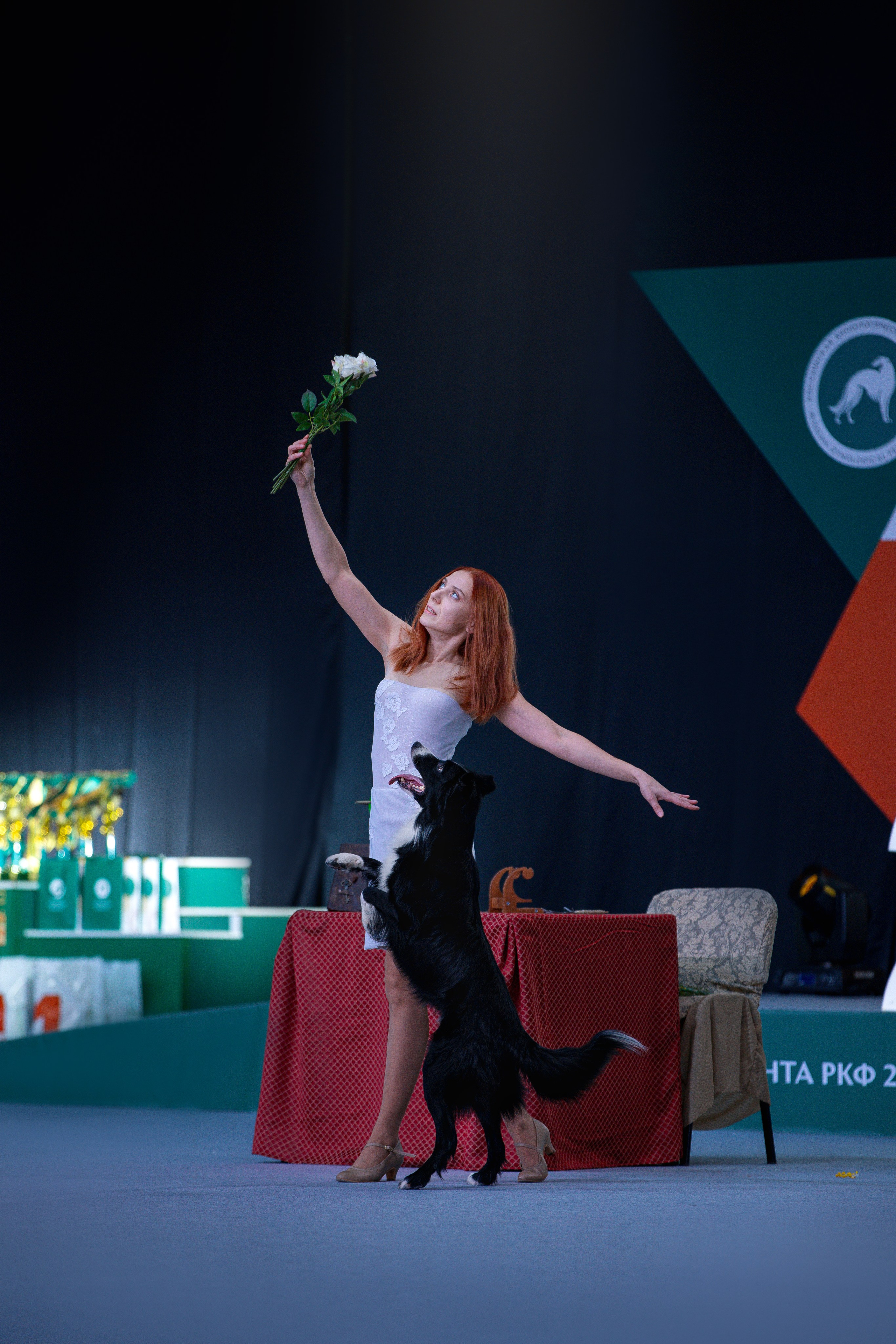 Выставки. Фотограф анималист в Москве Майорова Евгения