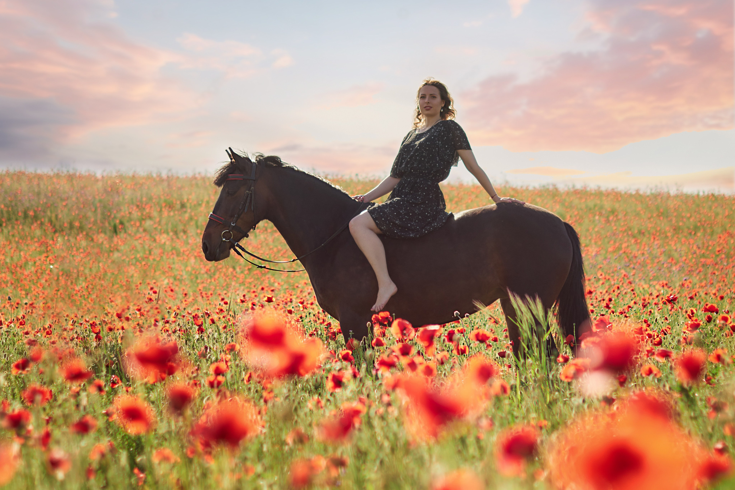 Фотосессия с лошадью Севастополь. Фотограф в Севастополе