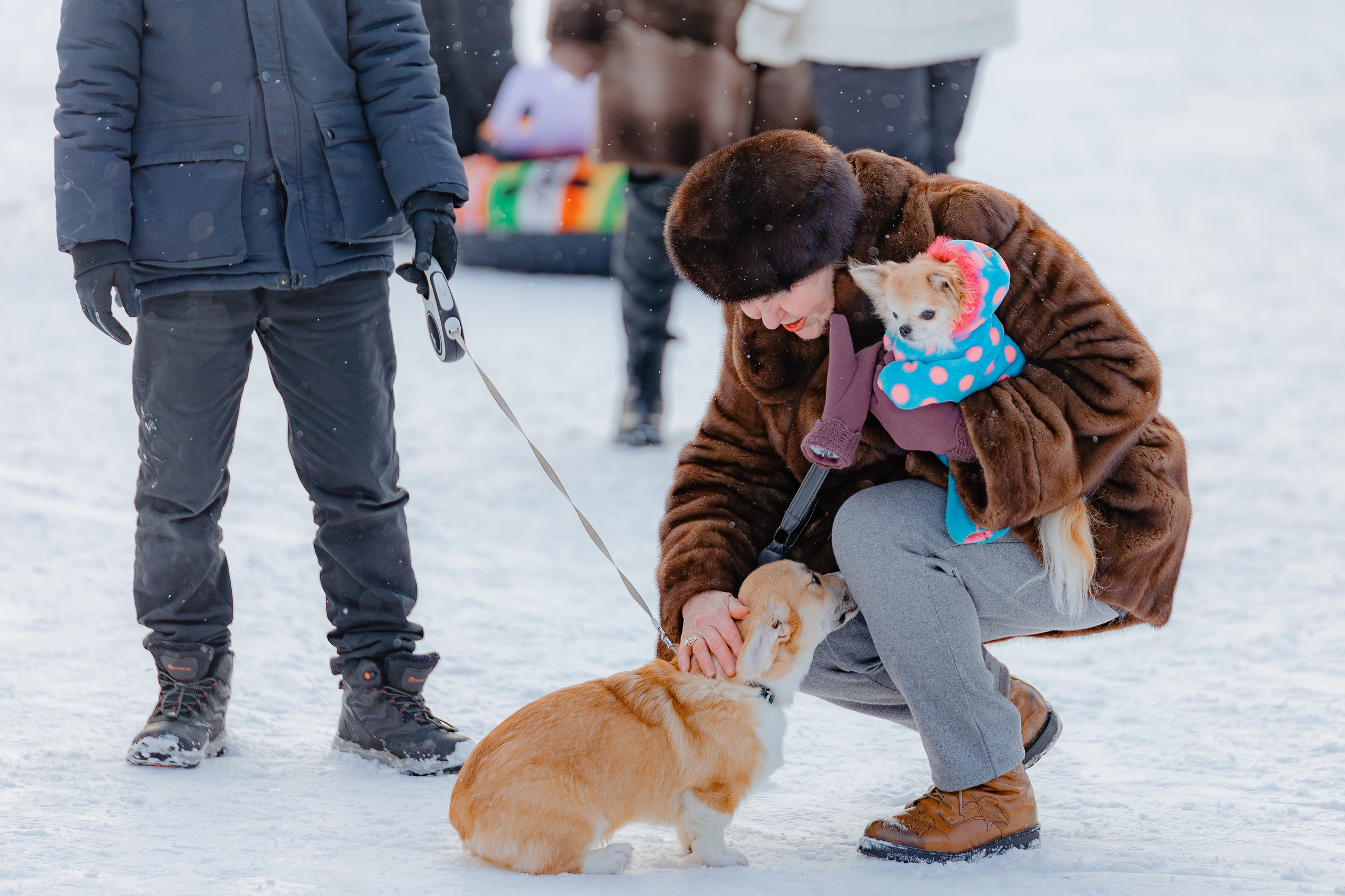 Ёлка от банка «Хлынов». Свадебный и репортажный фотограф Киров | Вадим Карпук