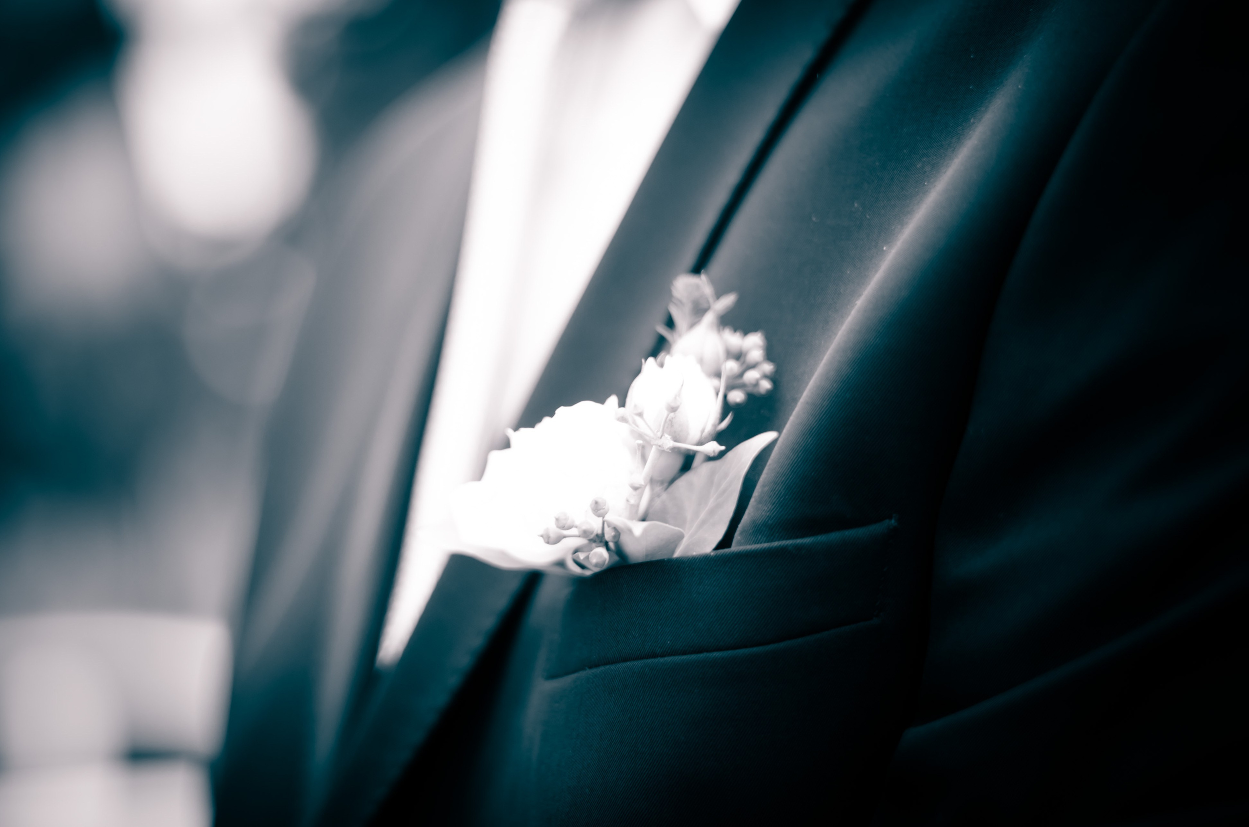 Свадебная фотография. Арт студия «Пегас». Фото- и видео- съемка