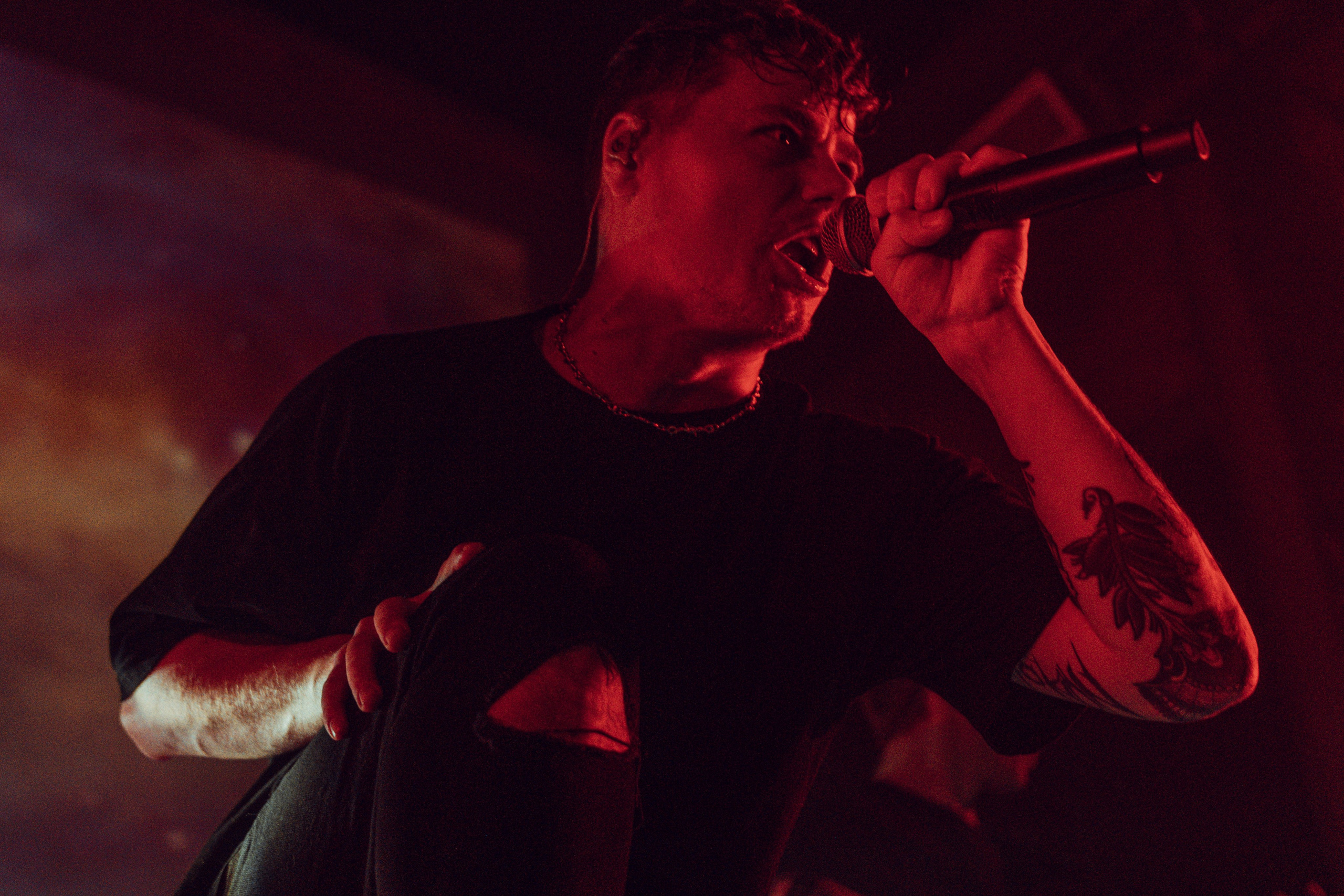 The Korea 12.01.2024. Фотограф Дядя Сник