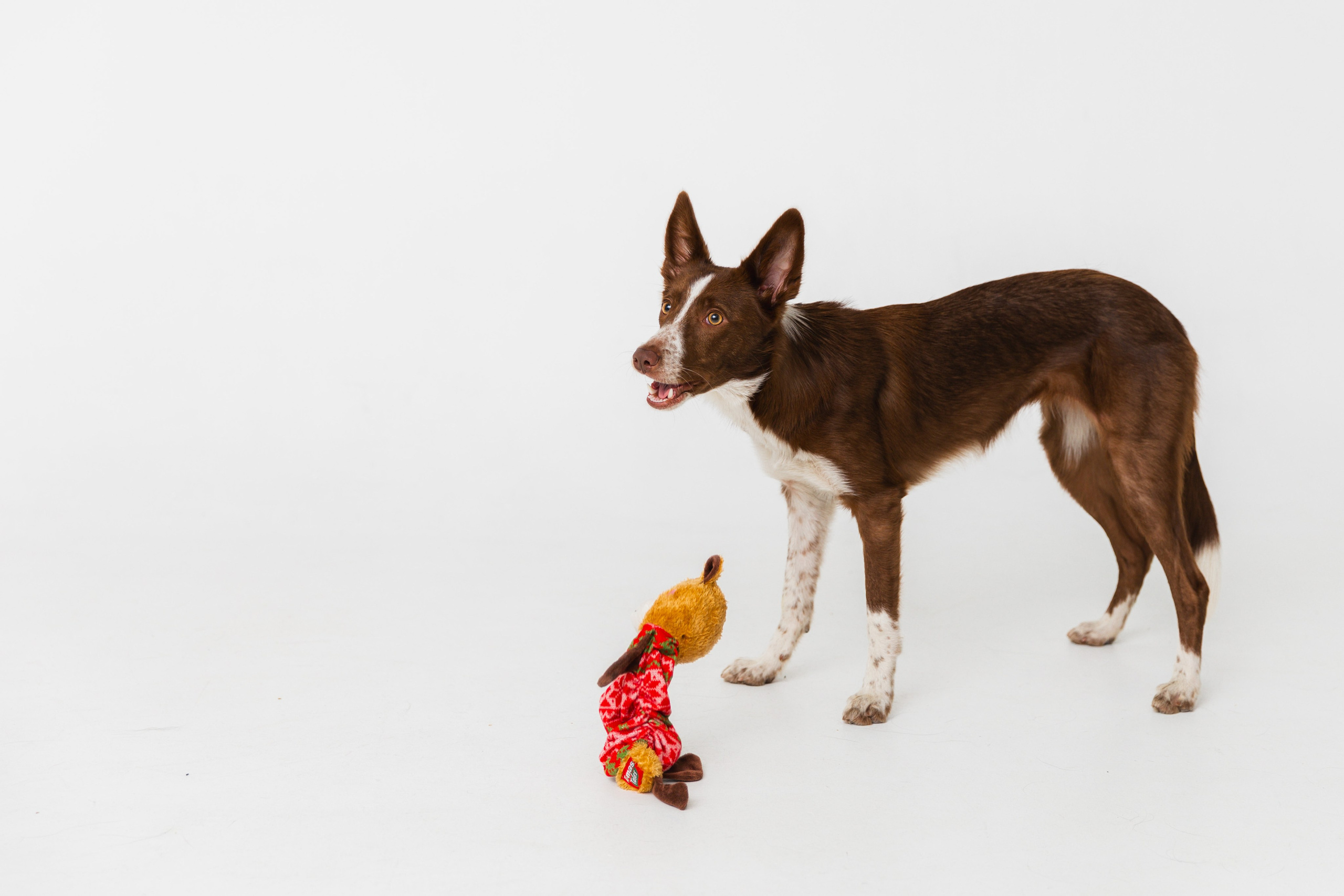 Воркшоп по импульсному свету