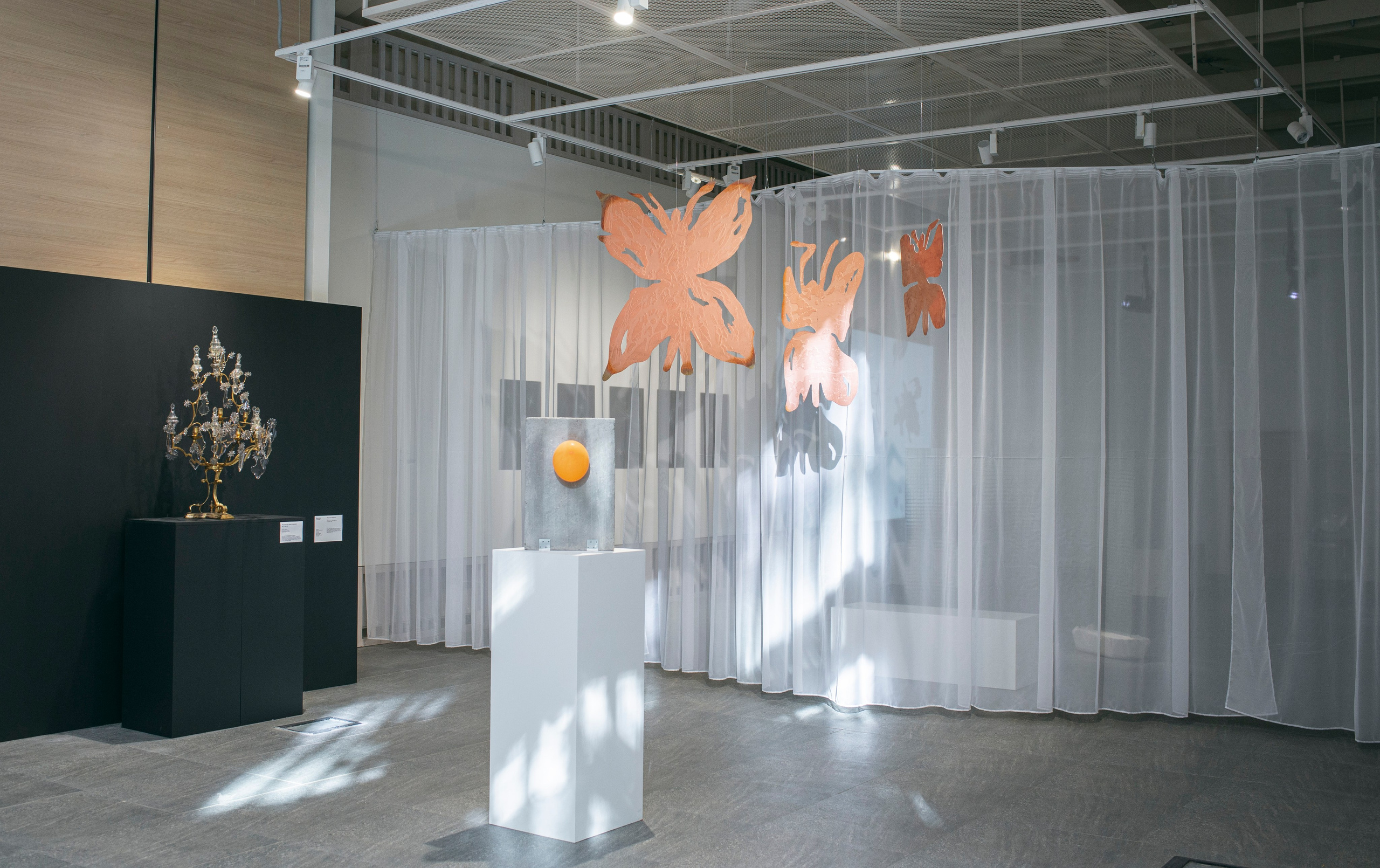 Молодость. Daria Morozova