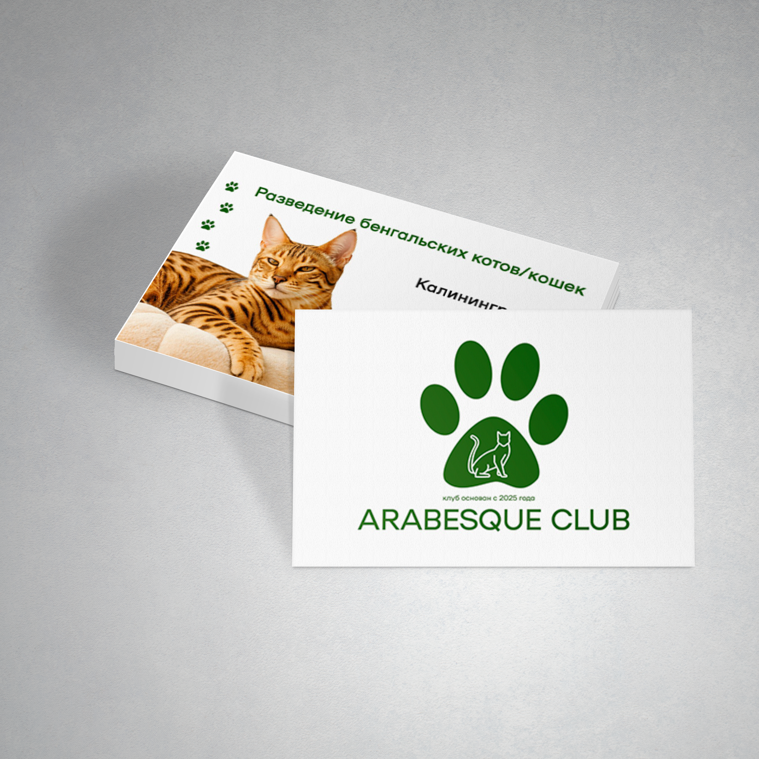 ВСЕ УСЛУГИ ПОЛИГРАФИИ. Студия Антонины Баушевой