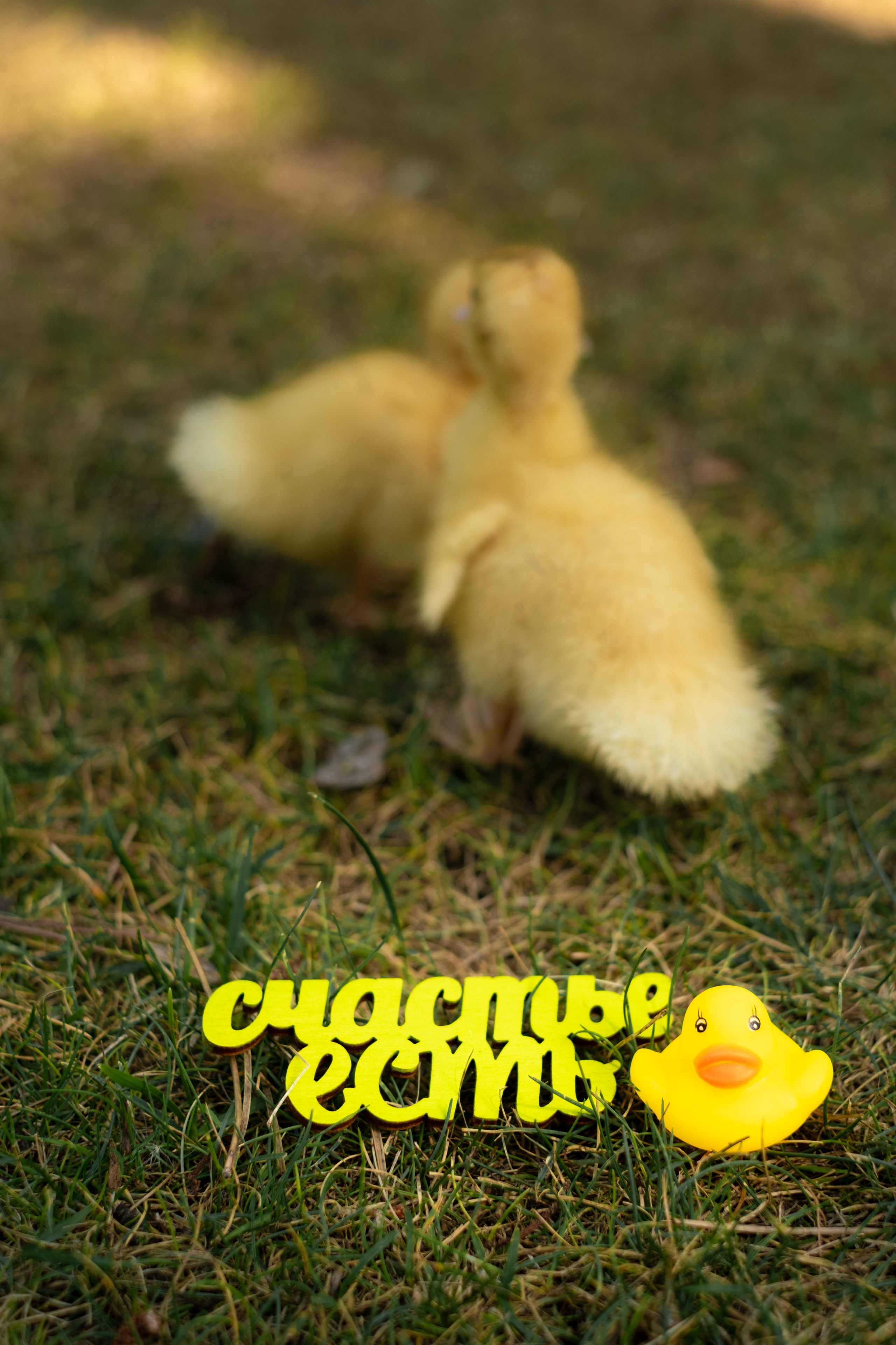 Разные фото семейные. Профессиональная фотосъемка в Крыму. Натуральные эмоции и живые кадры. Забронируйте дату прямо сейчас!