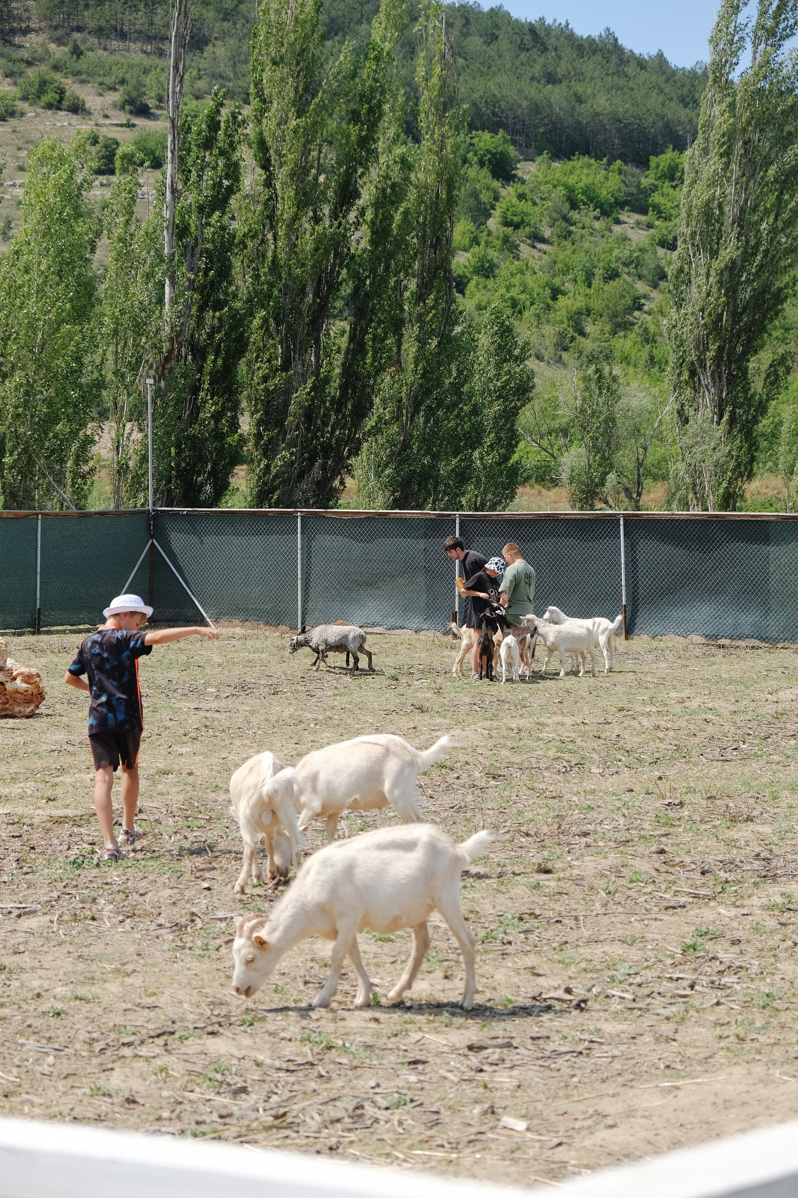 Репортаж на ферме. Профессиональная фотосъемка в Крыму. Натуральные эмоции и живые кадры. Забронируйте дату прямо сейчас!