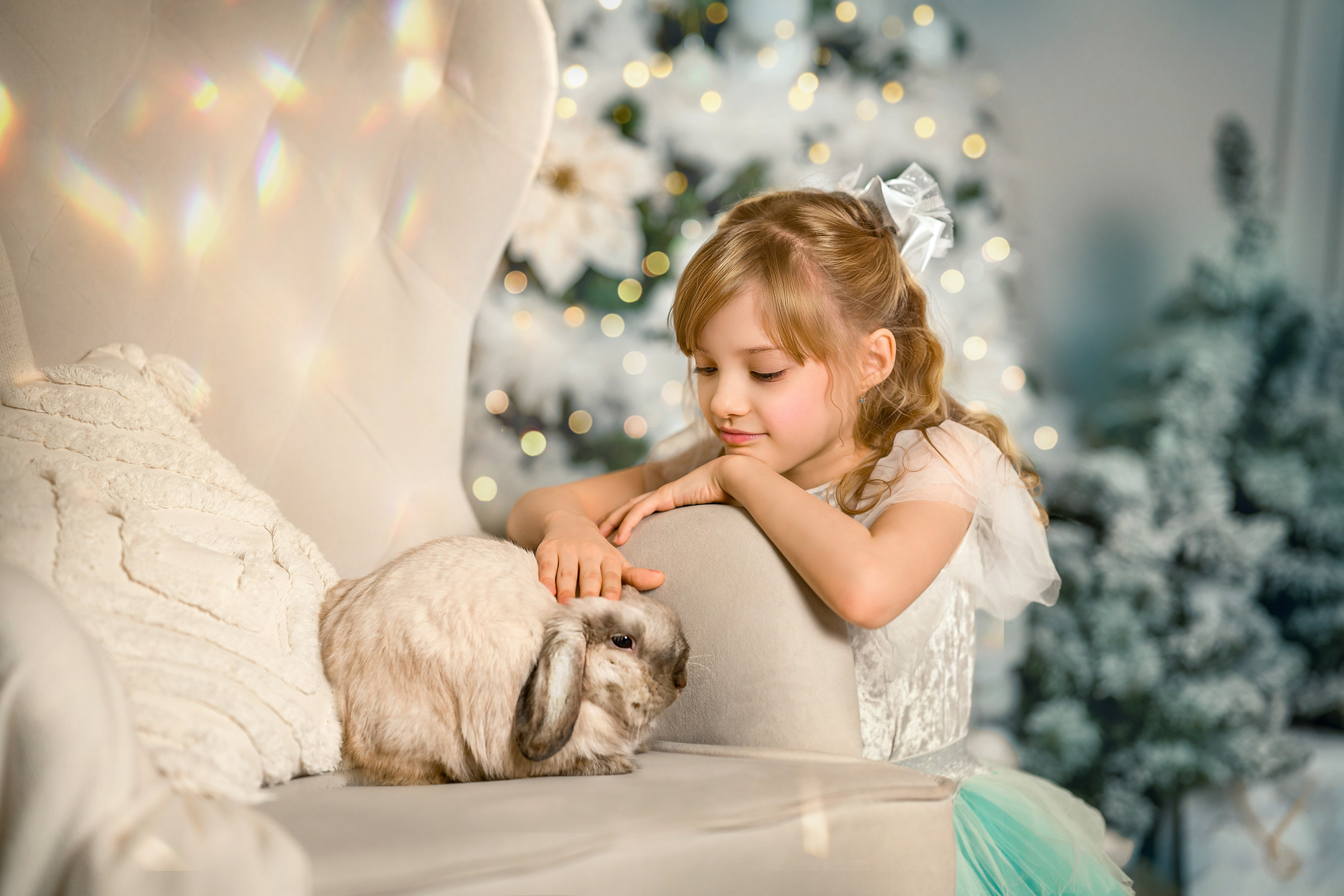 Интерьерные. Фотограф Валентина Полунина