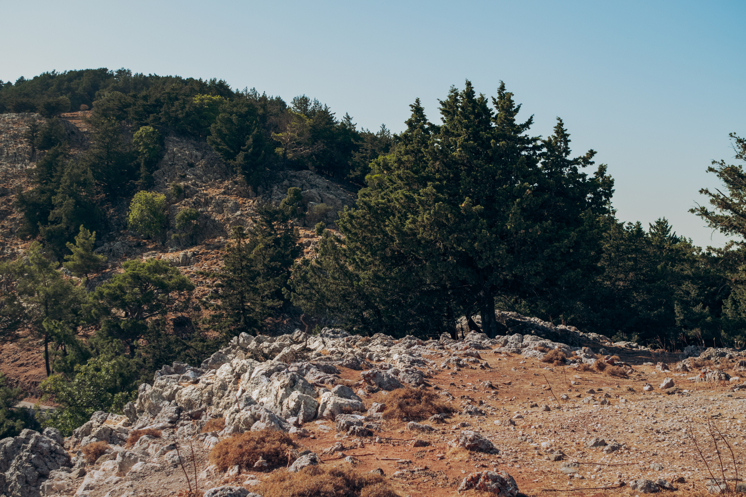 О. Родос. Полудницына Эльвира фотограф в Москве