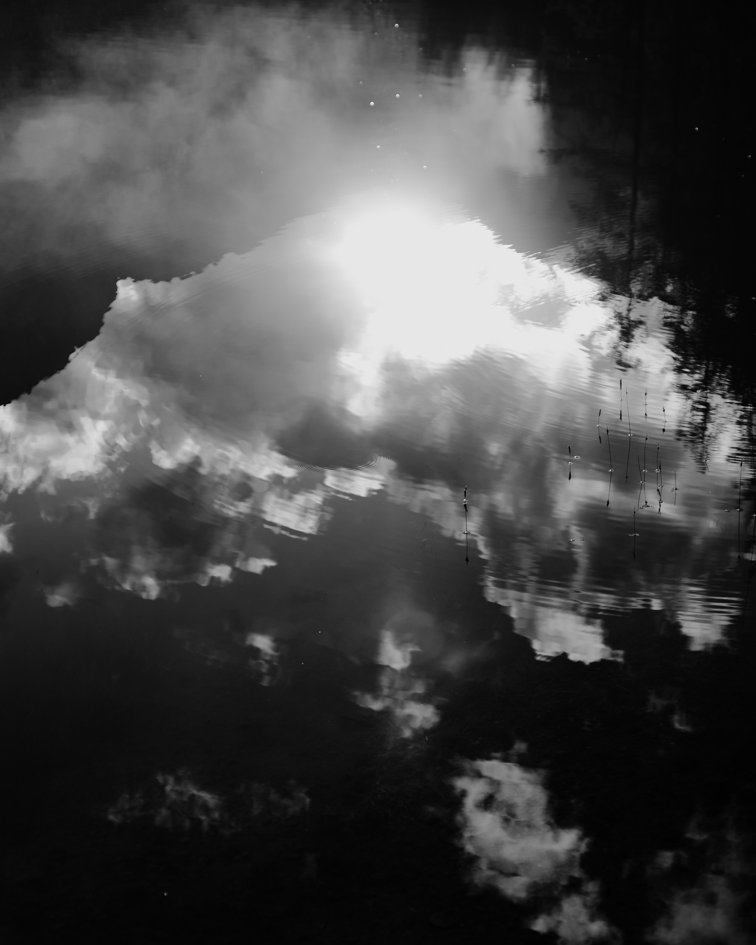 Шавлинские. Главная