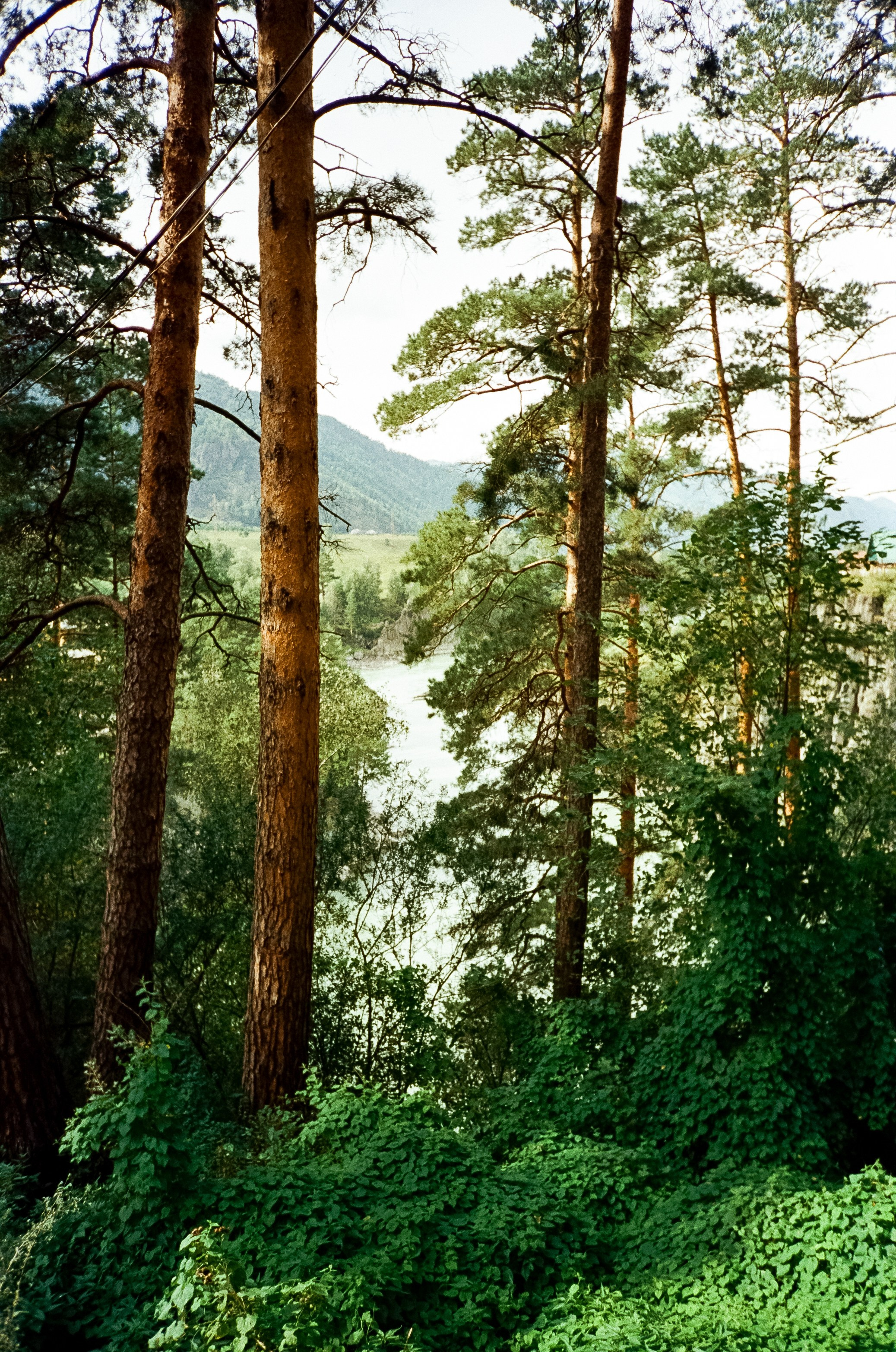 Остров Патмос и Сила Алтая. Фотограф-документалист Мария Осокина