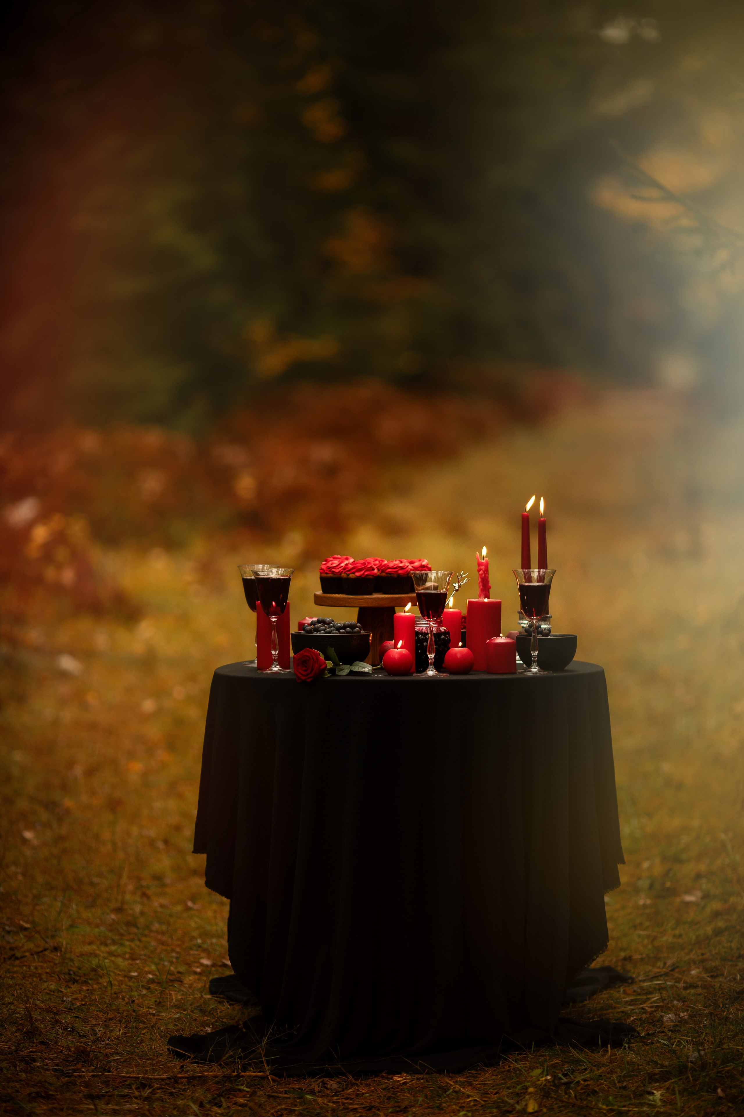 Фотопроект «Вампиры» — тёмная эстетика, осень и красный свет. Фотограф Анна Грошикова — авторская съёмка на рассвете и закате в Москве, Мытищах, Солнечногорске и Московской области