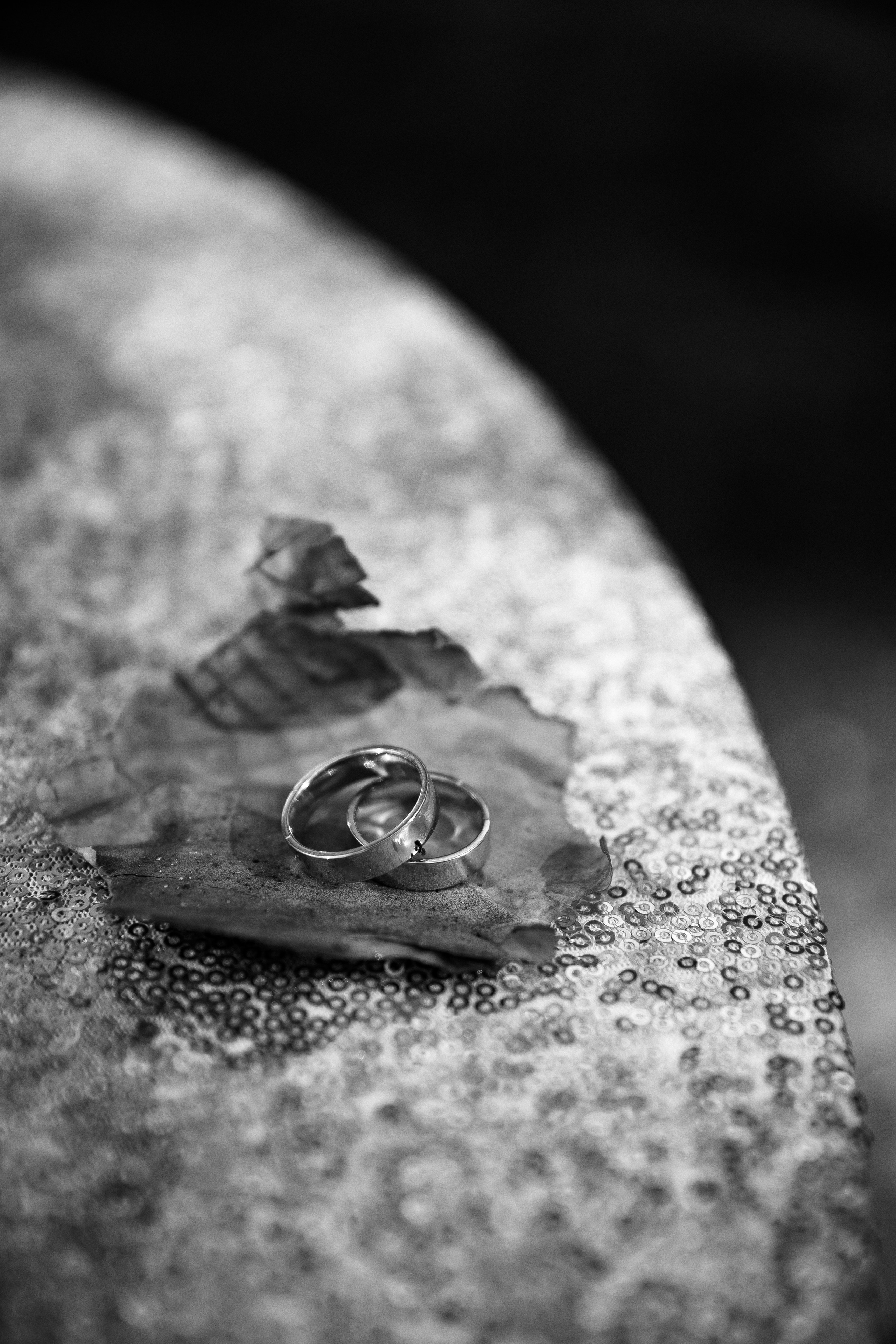 Константин и Ксения. Свадебные фотографы в г. Сургут Маркова Наталья и Замахина Елена