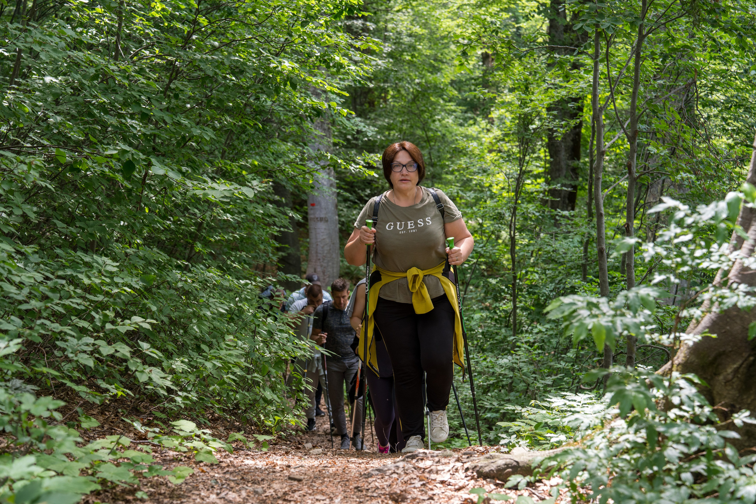 MICE мероприятие для компании «Доставка морем»: хайкинг к Ачипсинским водопадам. Репортажный фотограф в Красной Поляне и Сочи Павлюченко Екатерина