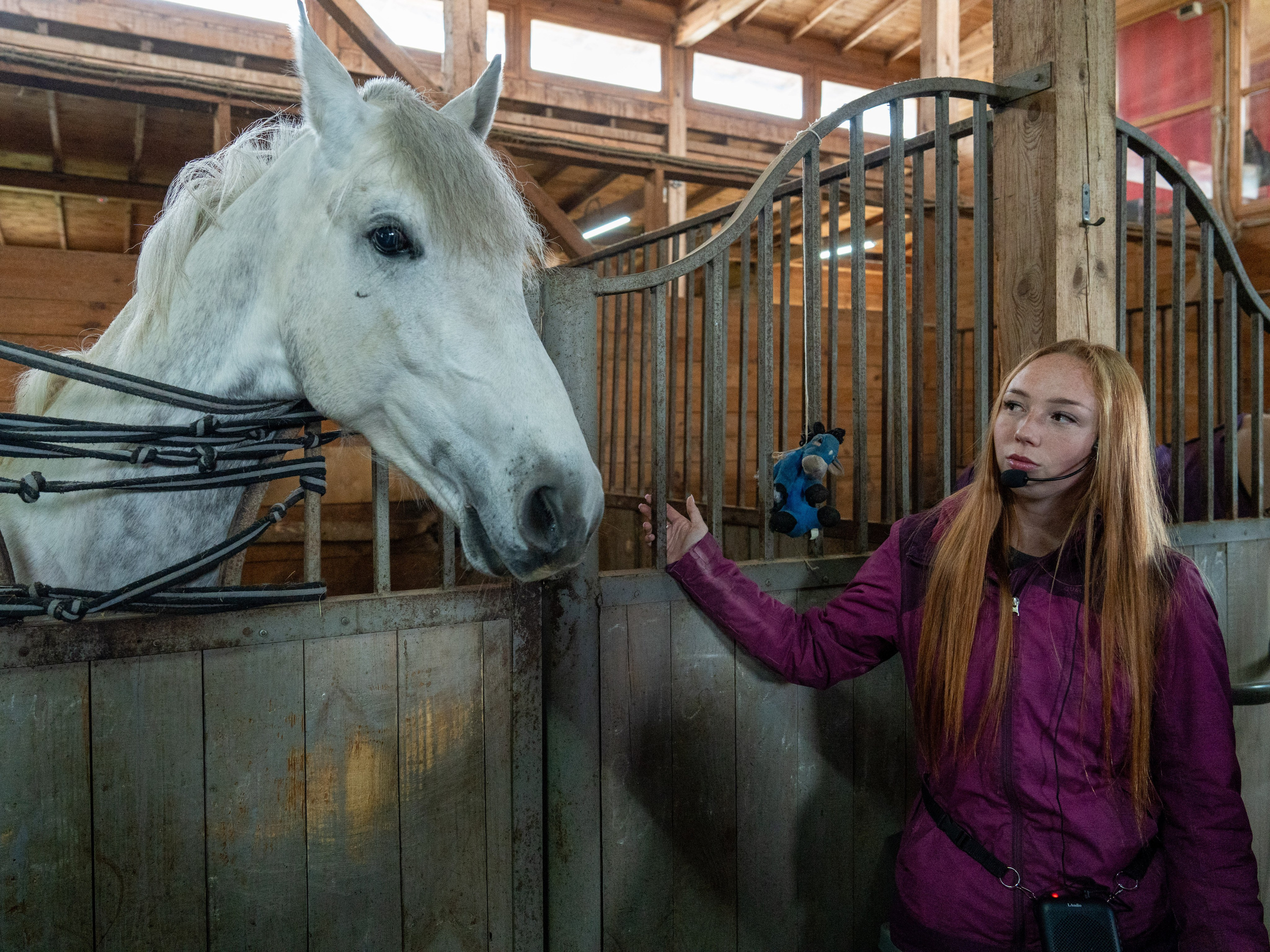 MICE мероприятие на ферме Экзархо. Репортажный фотограф в Красной Поляне и Сочи Павлюченко Екатерина