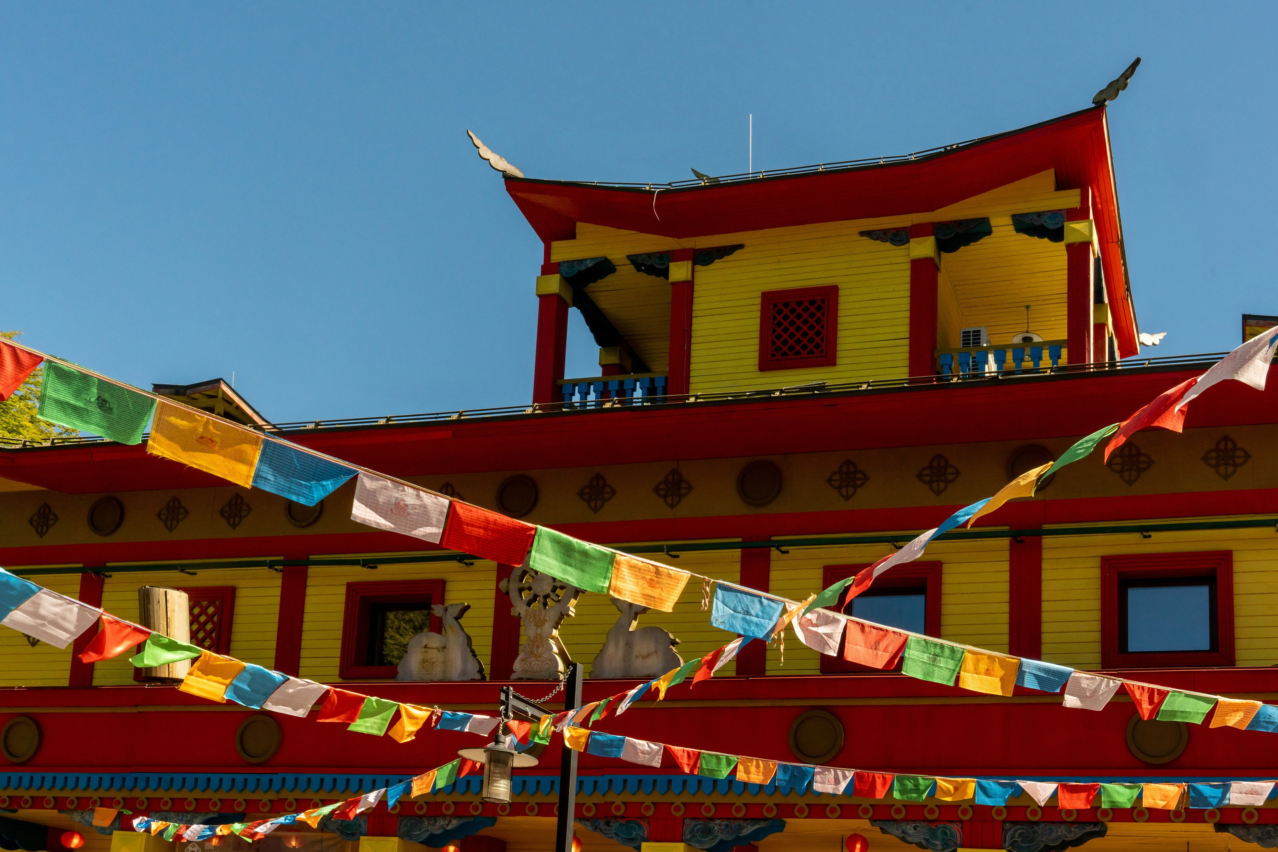 ChinaRosaFest 2024. Репортажный фотограф в Красной Поляне и Сочи Павлюченко Екатерина