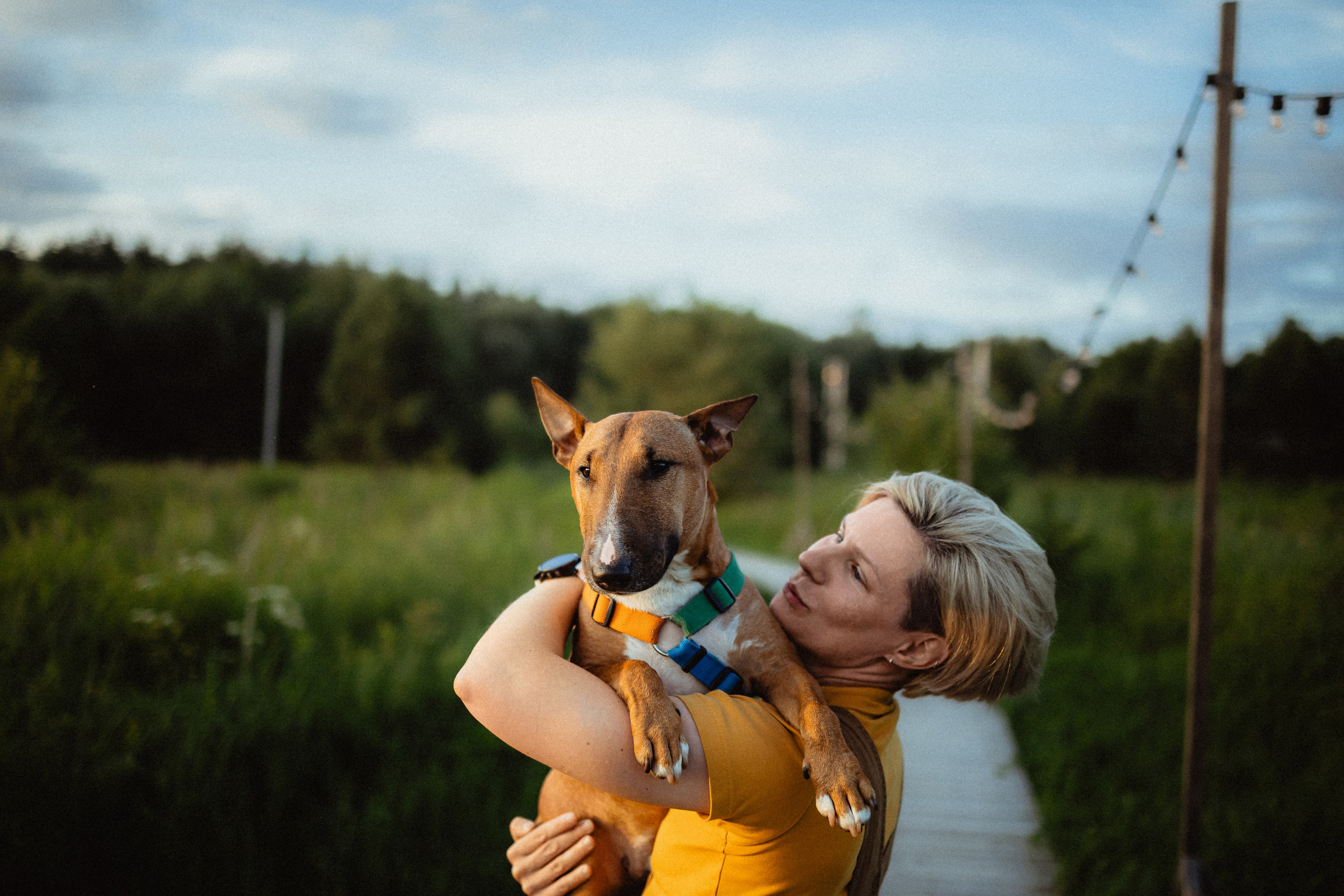 Выездной дог-тренинг от школы «Шерсть имею»