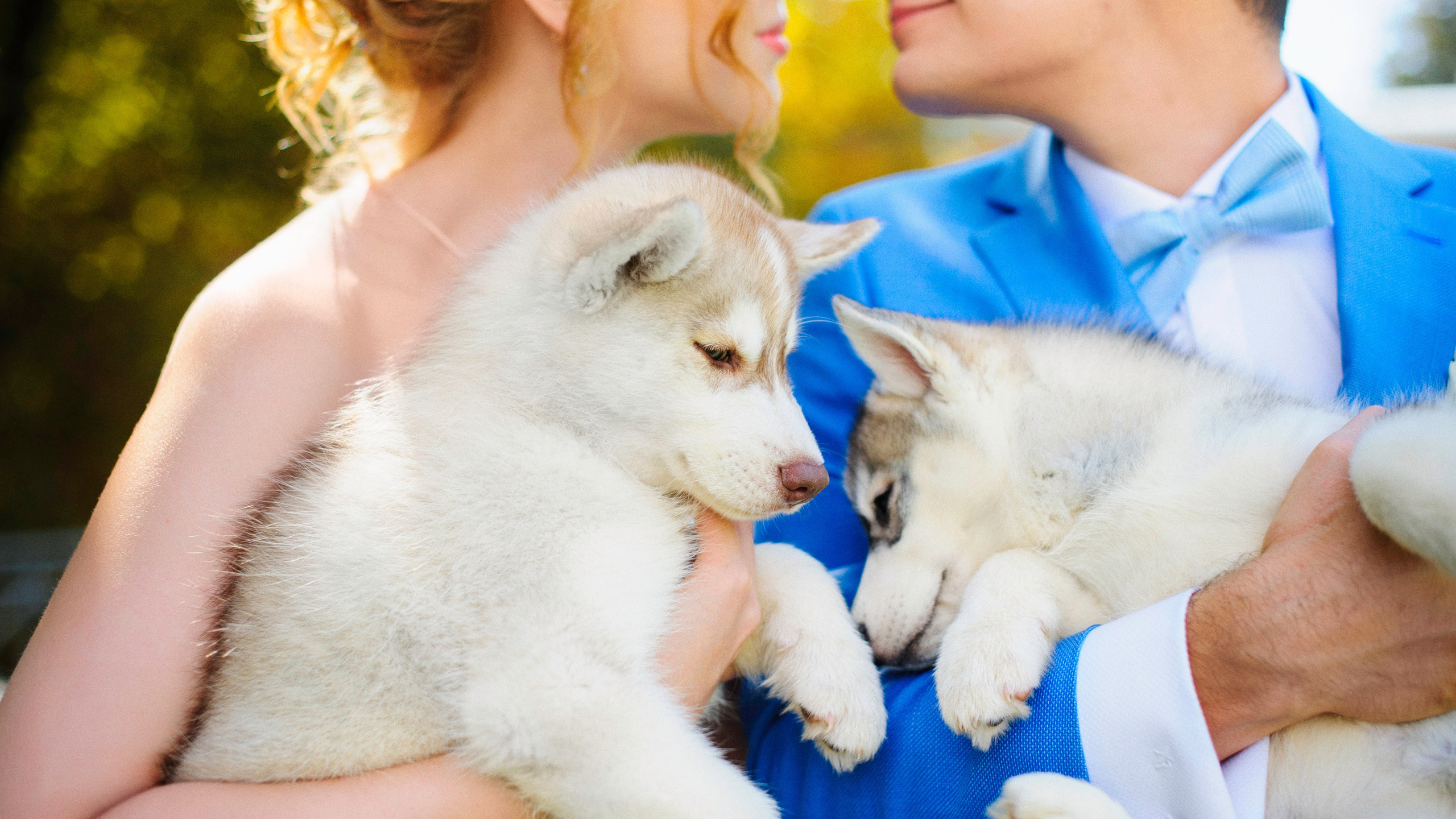 Свадебное. Репортаж, Интерьеры, Мероприятия, SMM. Фотограф Ставрополь