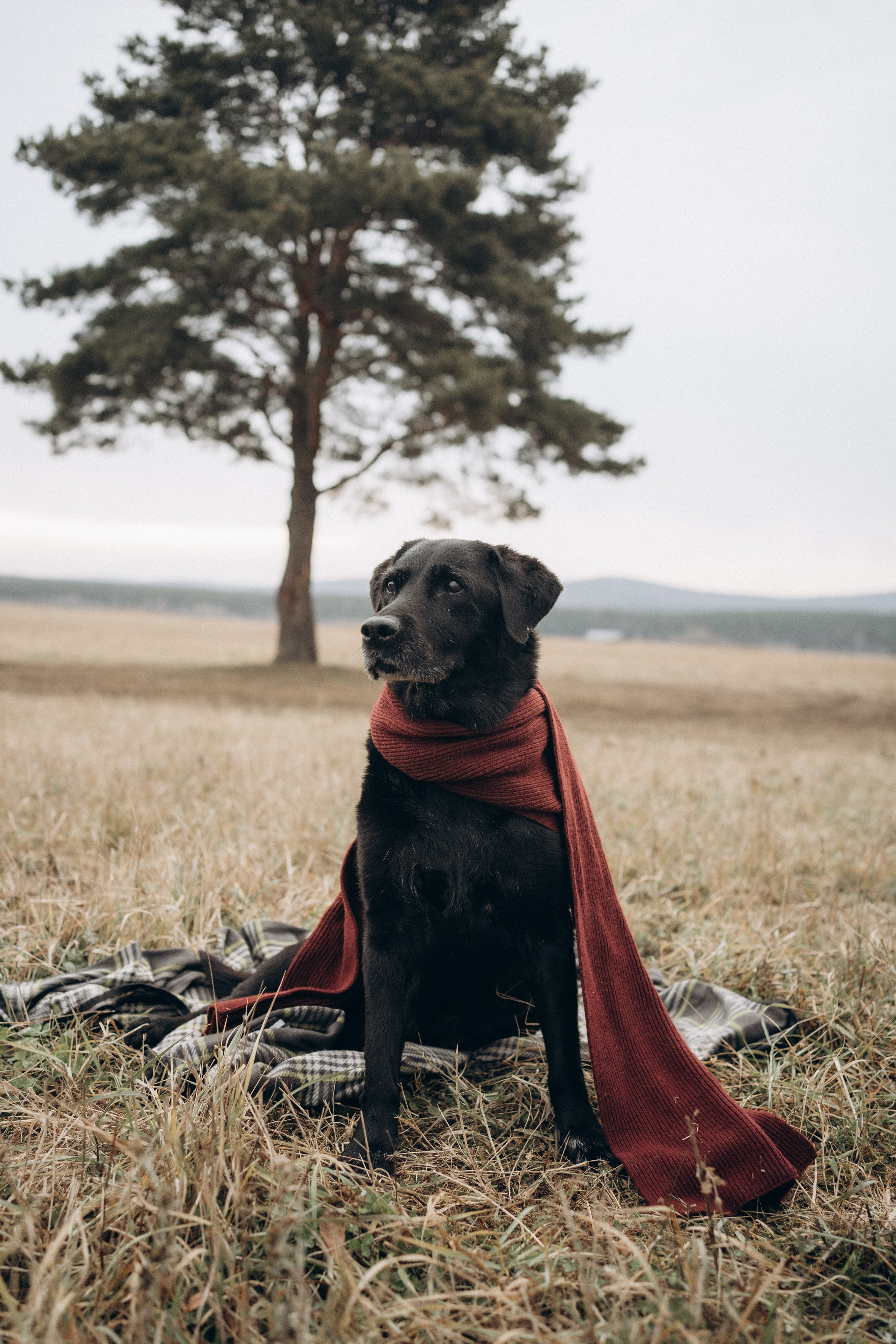 Таня и Молли. Фотограф-анималист Анастасия Большакова