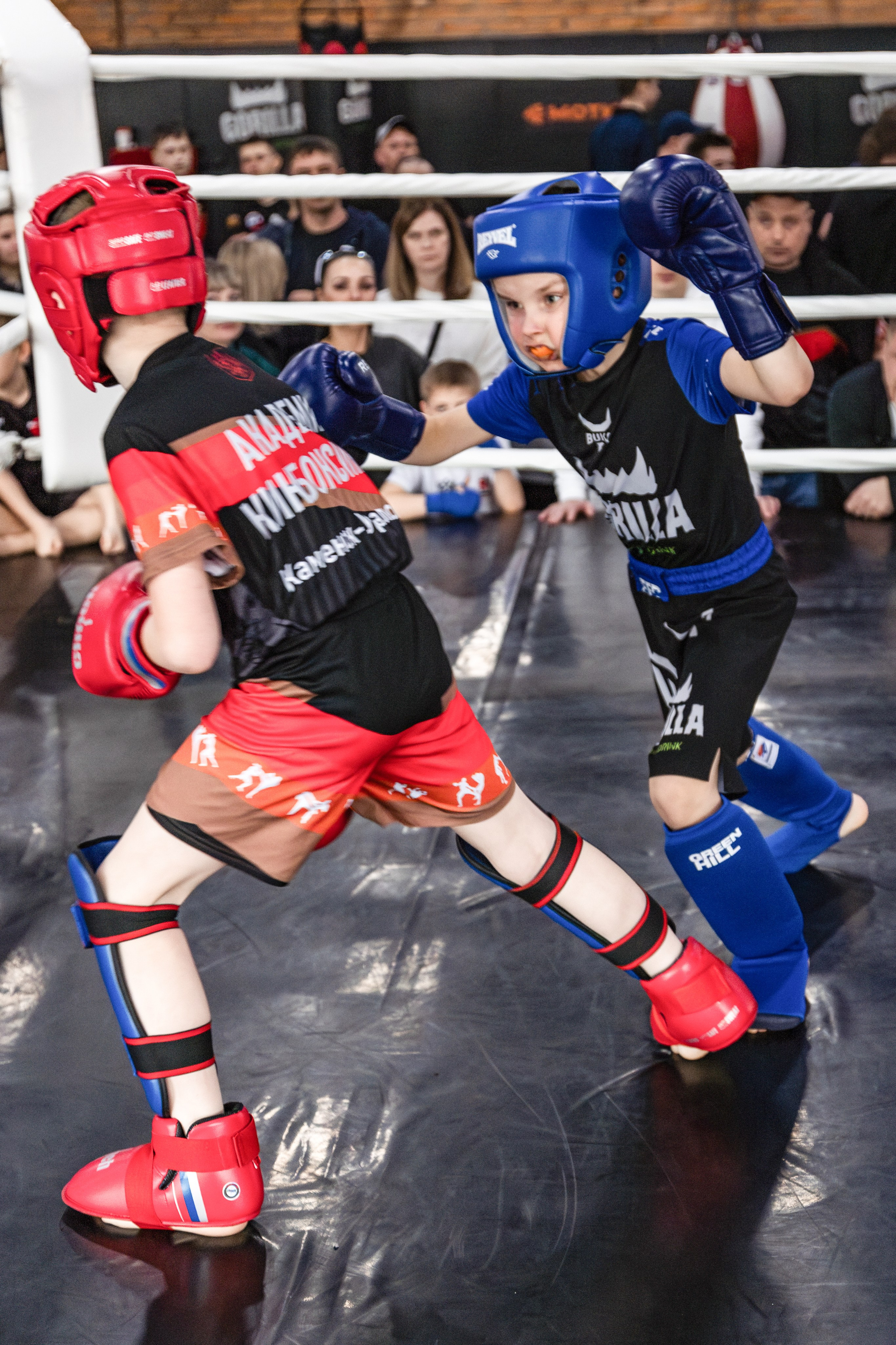 OCTAGON FIGHT IV | СК «Ратиборец». Репортажный фотограф Екатеринбург | Яркий, качественный репортаж | Концерты, клубы, репортаж, праздники, корпоративы