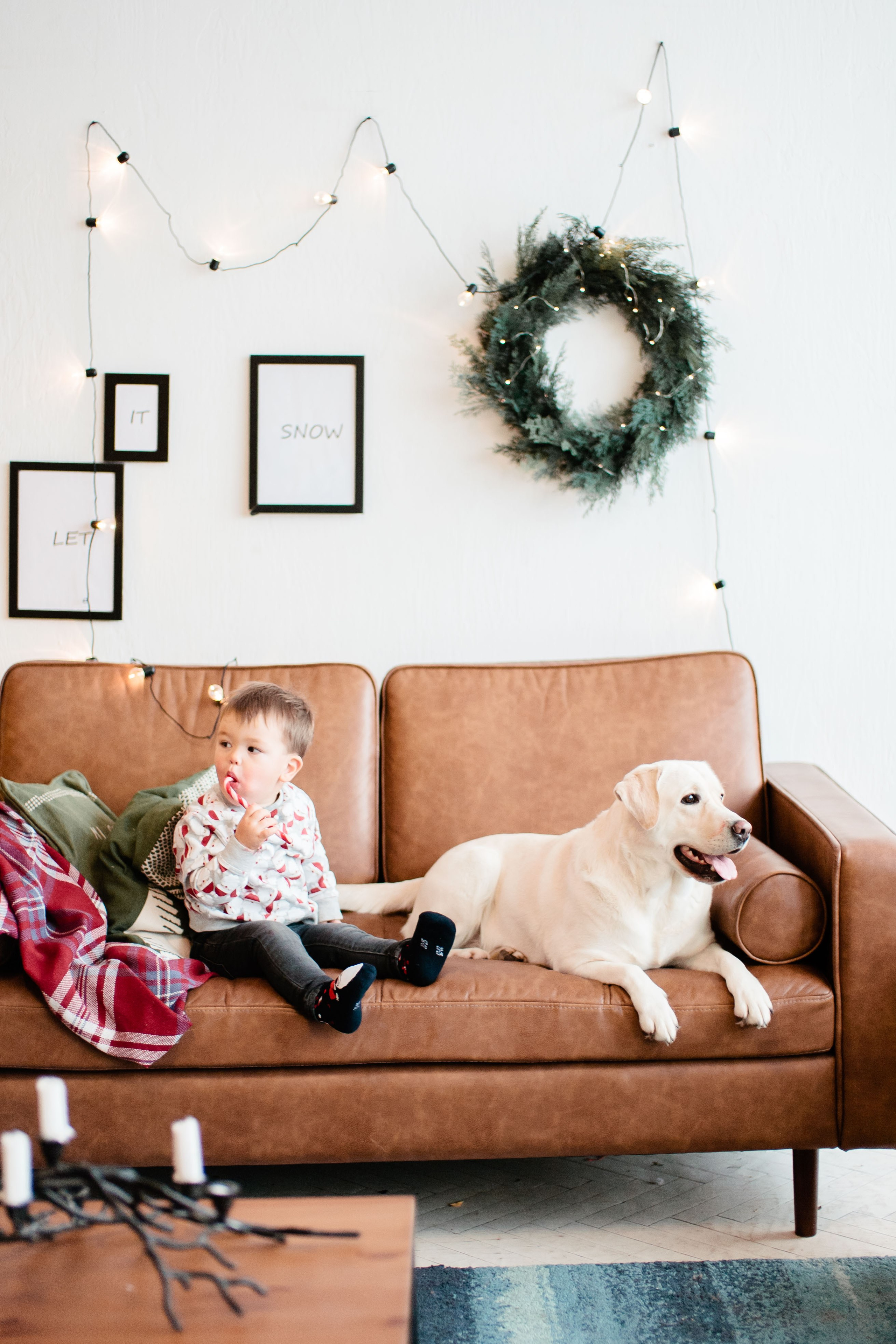 Семейная Новогодняя фотосессия в студии, фотограф в Москве